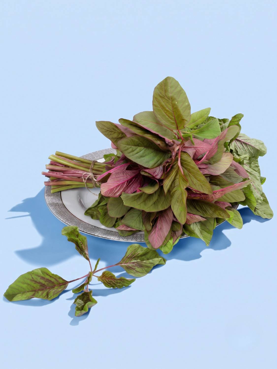 Red Amaranthus