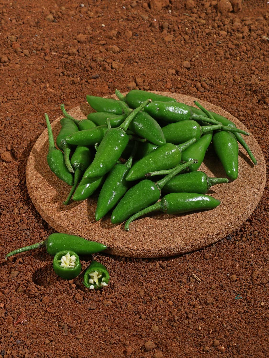 Organic Green Bullet Chilli