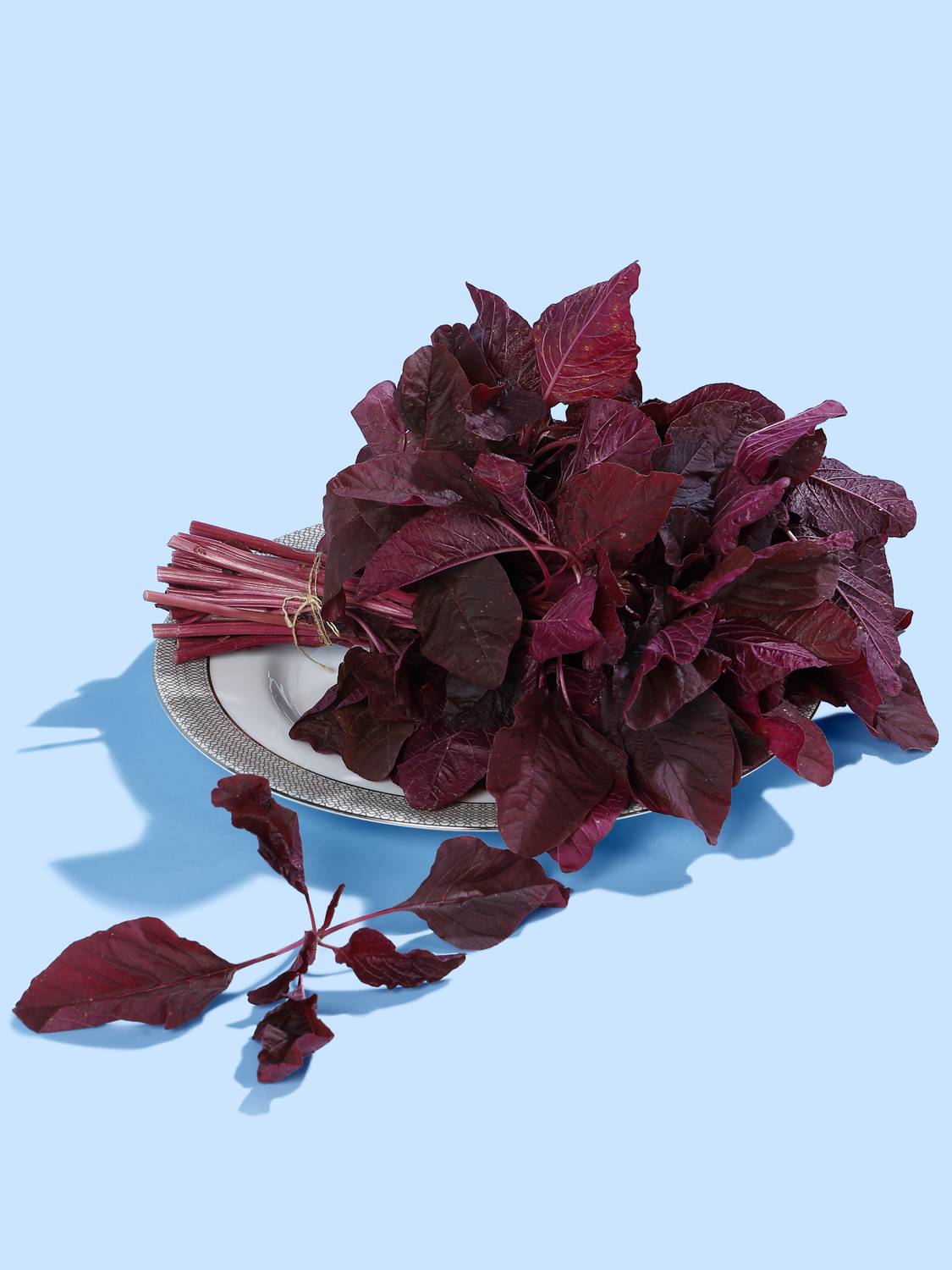 Red Amaranthus Leafy