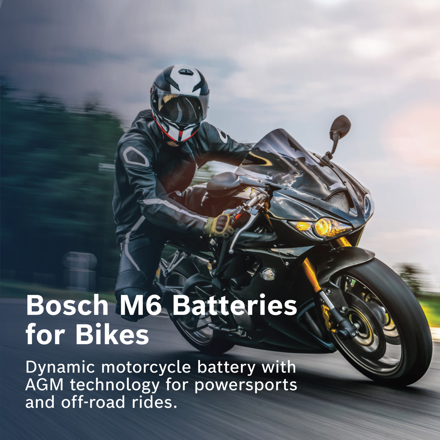Image of BOSCH F002H50060 5 Ah Battery for Bike