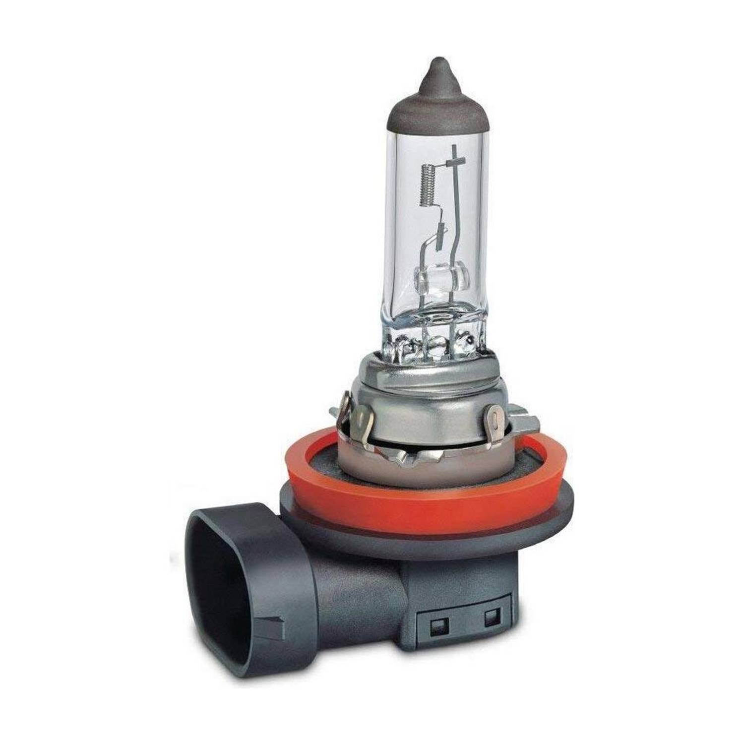 ACEOTO h16bulb Fog Lamp Car Halogen (12 V, 19 W)