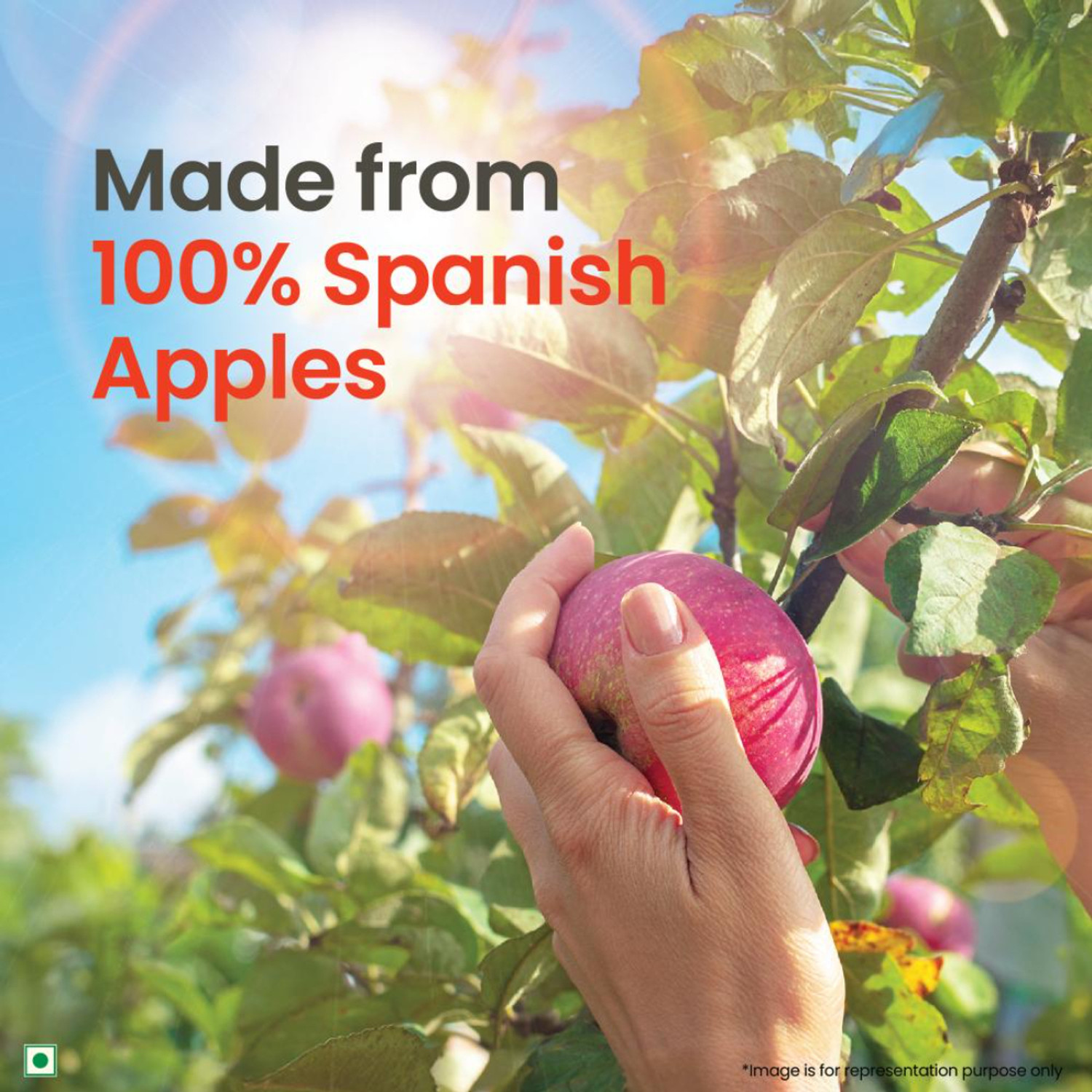 Image of ORGANIC INDIA Apple Cider Vinegar with Mother of Vinegar, Made from Spanish Apples Vinegar