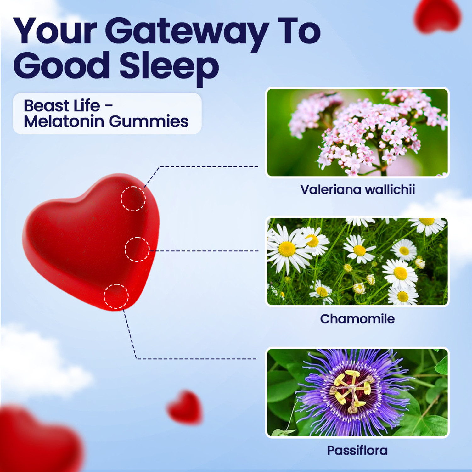 Image of BeastLife Melatonin Gummies 5mg- Promotes Deep Sleep | Non-Habit Forming | Relieves Stress