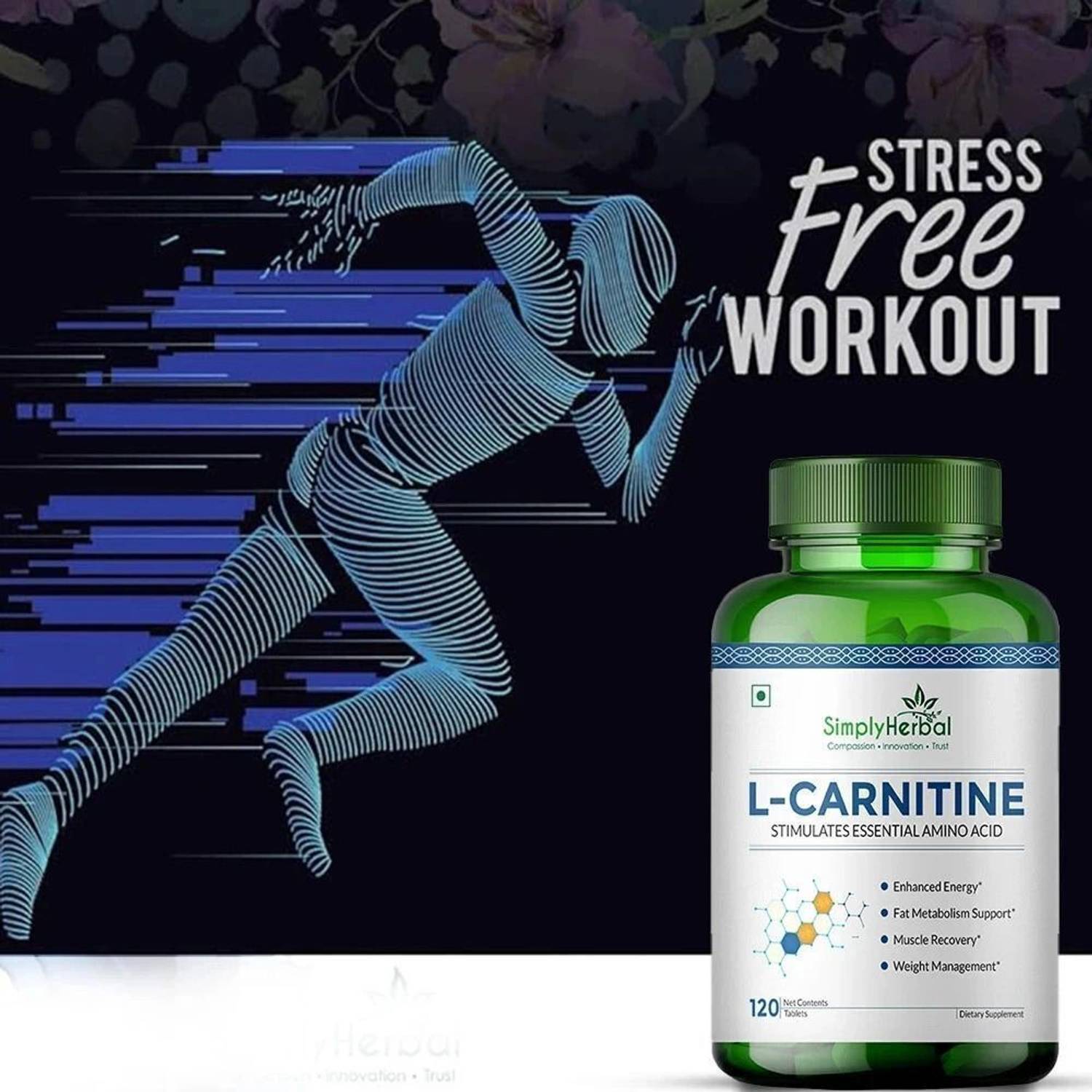 l carnitine capsules india L Carnitine L Tartrate 500 mg + Cyanocobalamin 2.2 mcg + Folic Acid 300 mcg  at ₹ 1450/box | L-Carnitine Tablet in Chandigarh main image 0