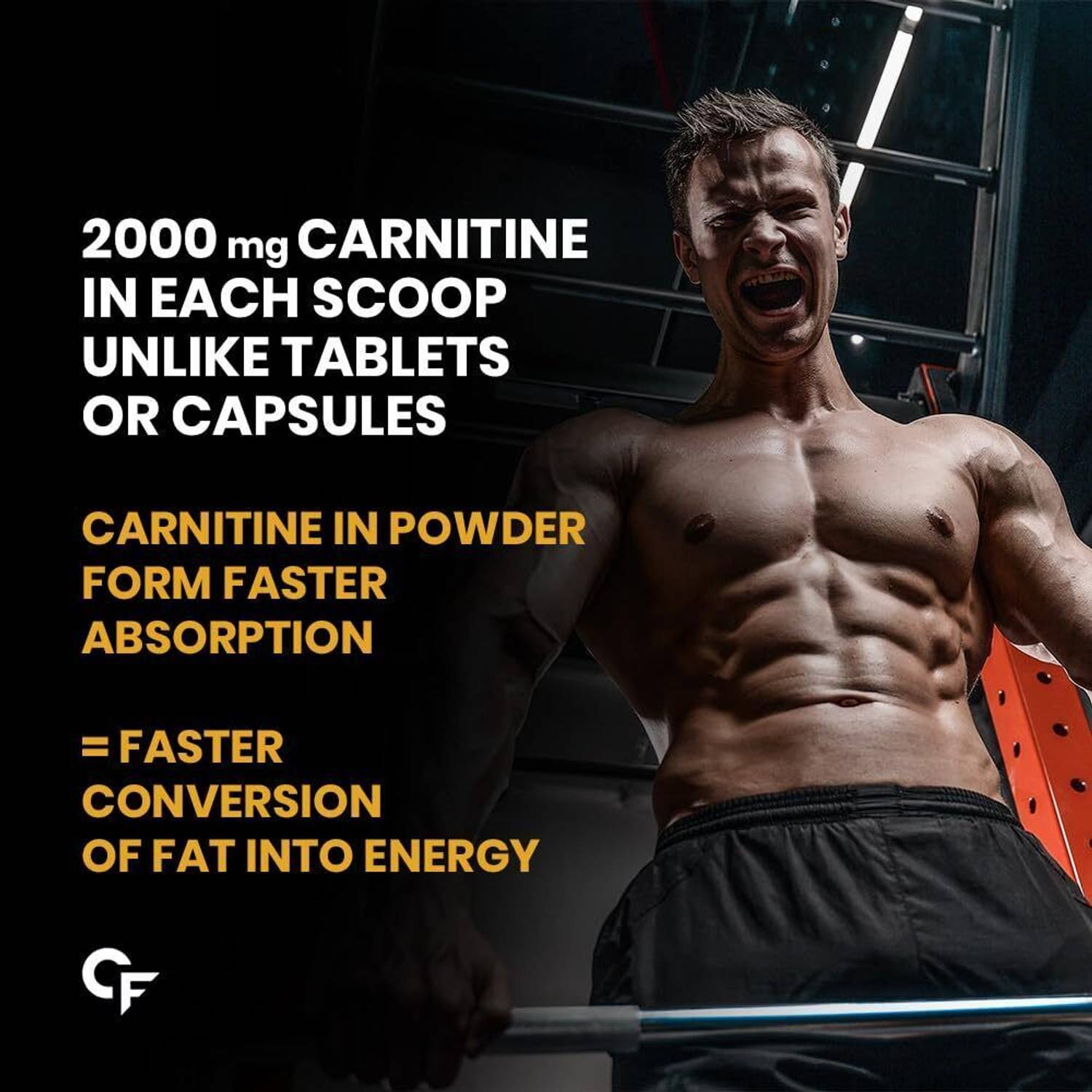 l carnitine l tartrate bodybuilding energy supplement natural - L-Carnitine 3B - metabolism natural