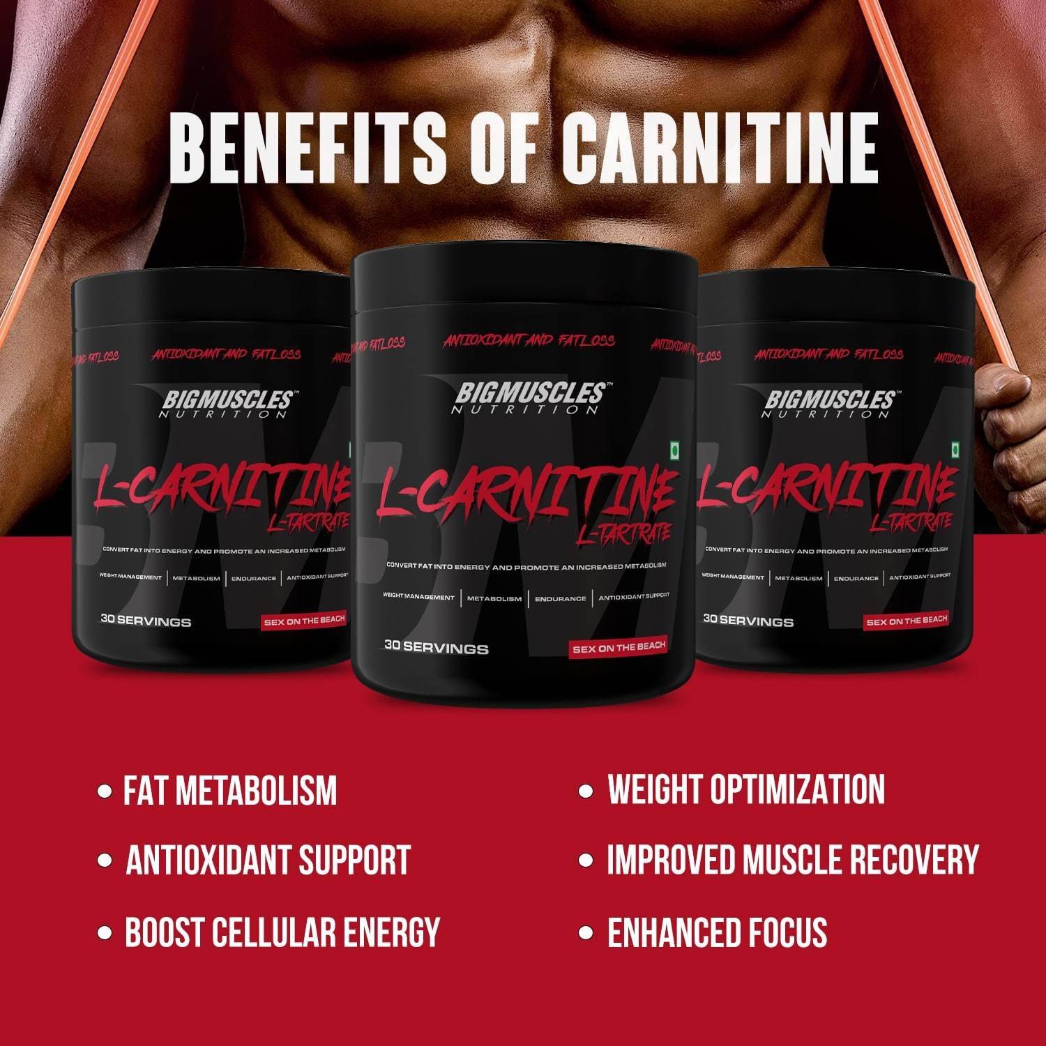 maxi l carnitine 500 mg L-Carnitine 500 mg Supplement