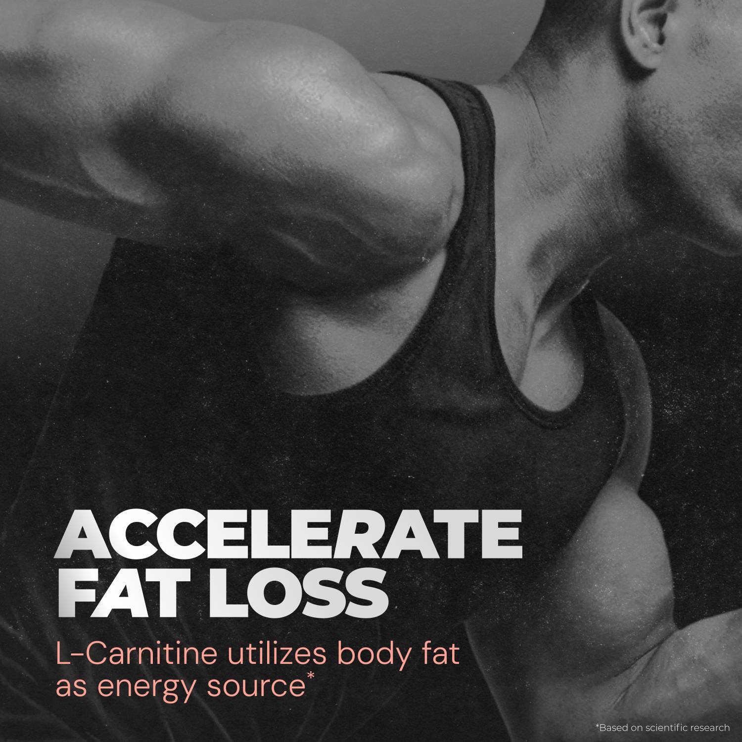 l carnitine tartrate before bed L-Carnitine
