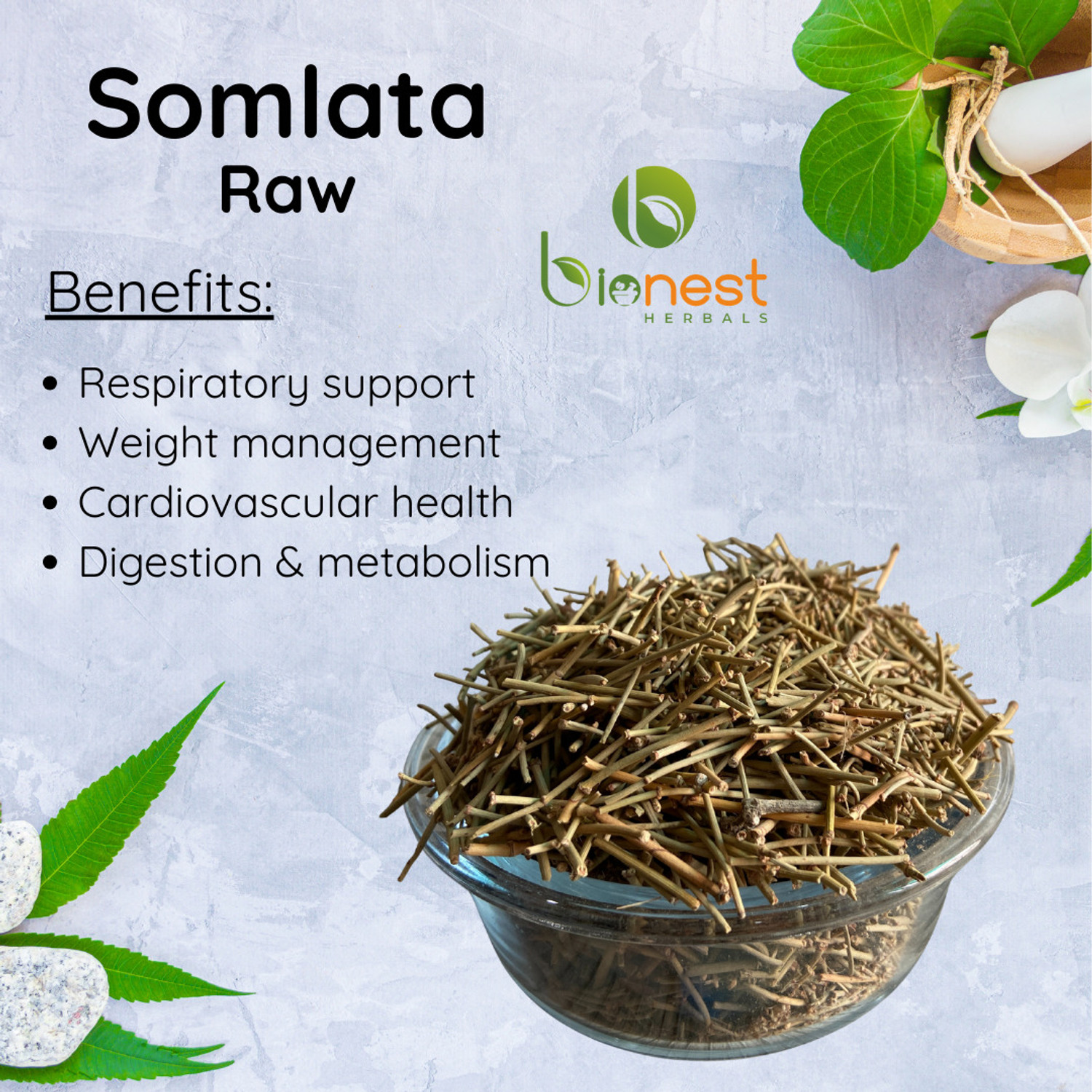Image of Bionest Herbals Somlata (Raw) -375 g | For Respiratory Support, Weight management, hearth health