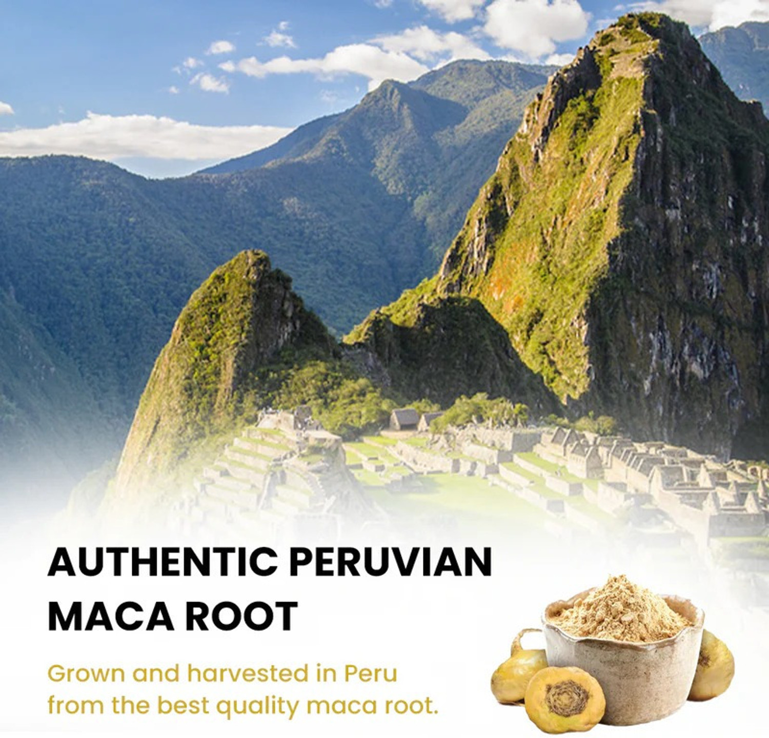 Image of ROOTED Organic Maca Root Powder | Peruvian Vitality Support (100 g)