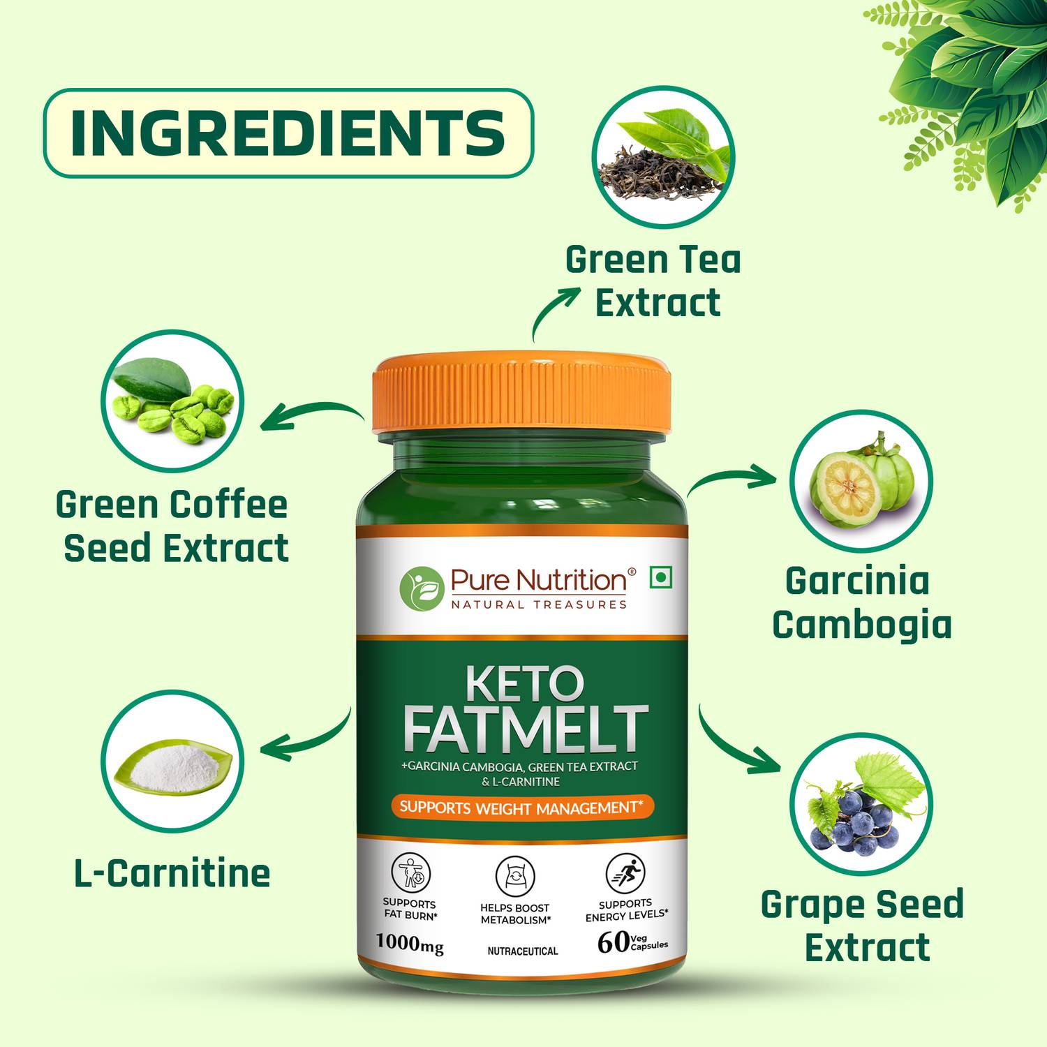 l carnitine and garcinia cambogia extract Pure Nutrition Keto Fatmelt | Cambogia, Green Tea & L-Carnitine | Weight Management Price in India - Buy Pure Nutrition Keto Fatmelt | Garcinia Cambogia, Green Tea & L-Carnitine workout