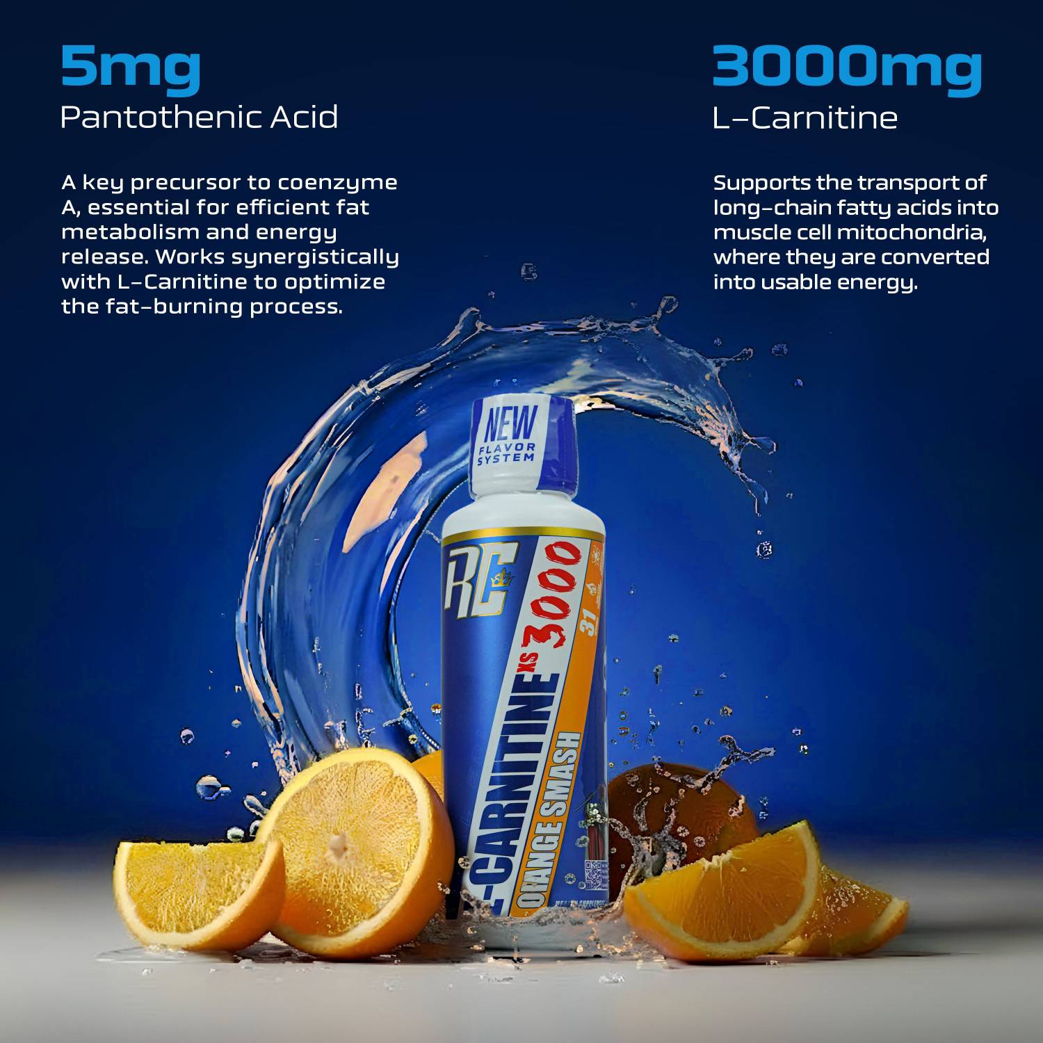 l carnitine xs 3000 benefits Ronnie Coleman Signature Series L-Carnitine XS 3000mg Liquid, Orange Smash  Price in India