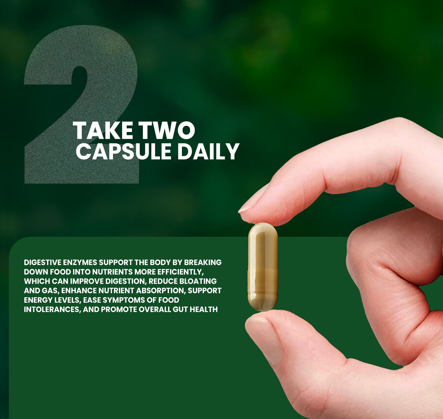 Image of grinbizz Digestive Enzymes with Bromelain | Digestive Support Capsules
