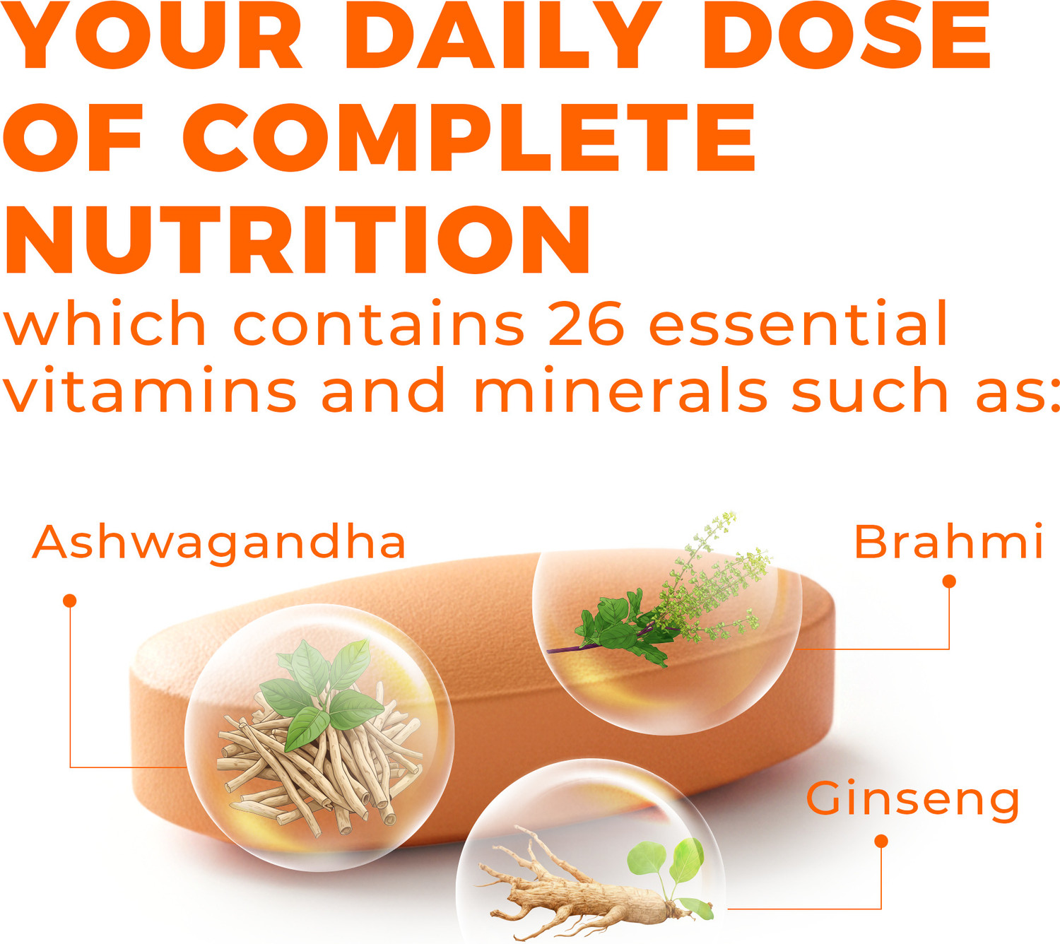 Image of A to Z Daily Multivitamin with 26 Vitamins, Ginseng, Ashwagandha & Brahmi