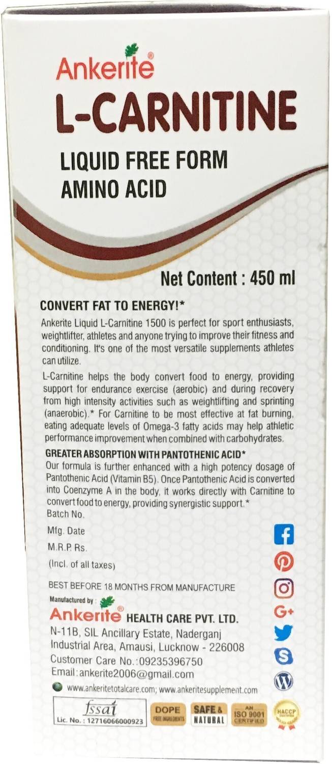 l carnitine which form is best 10 Best L-Carnitine Supplements (NaturaLife Labs, NOW Foods, and More) main image 1