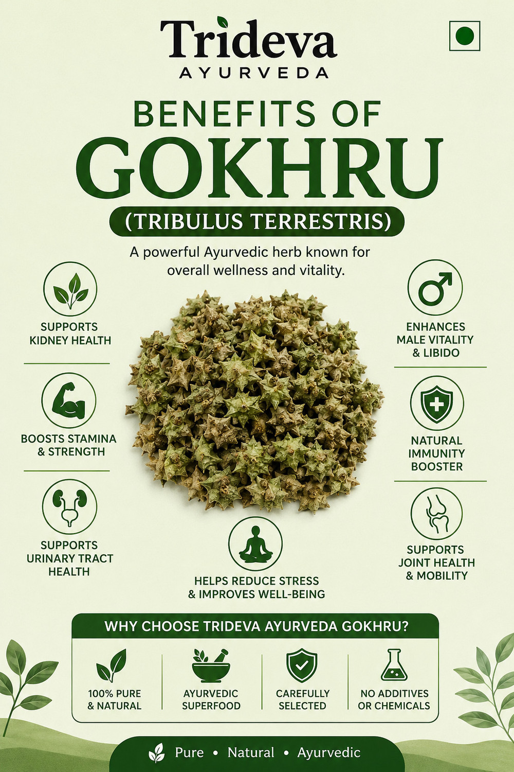 Image of TRIDEVA AYURVEDA Gokhru Chota Raw | Tribulus Terrestris Seeds | Small Caltrops