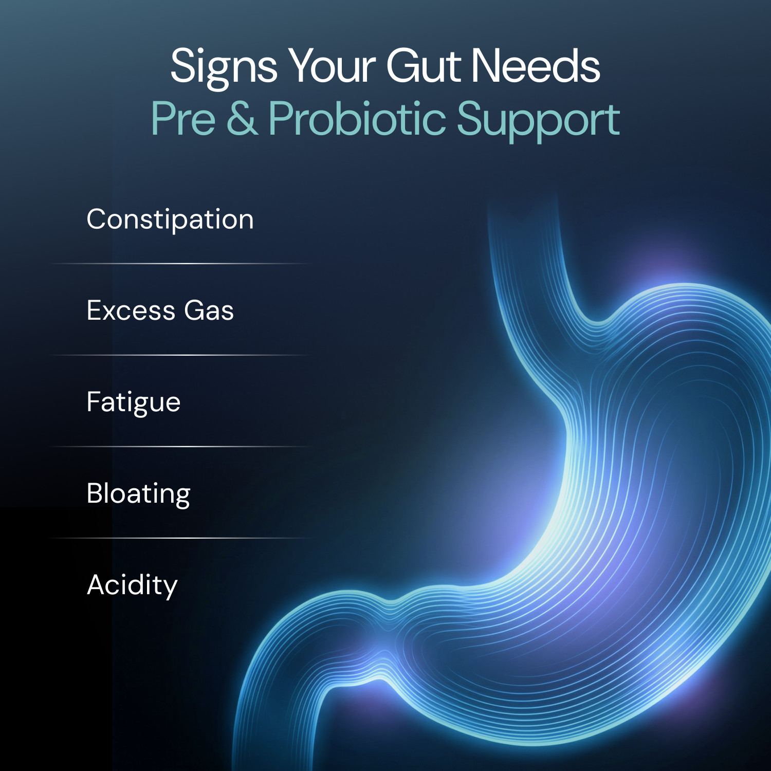 Image of Nutrabay Wellness Pre & Probiotic Digestive Support