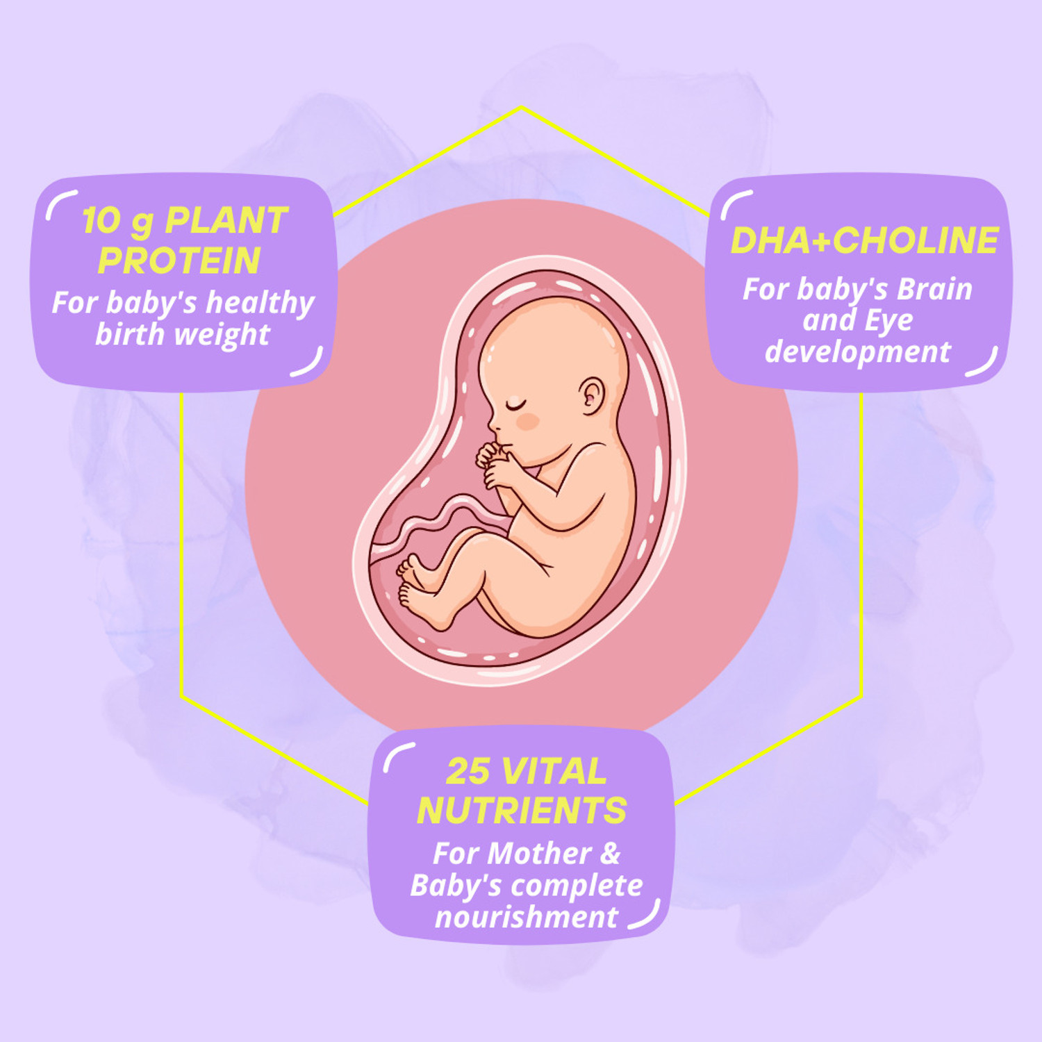 Image of better herbs Mamafy Mother's Nutritional Pregnancy Powder | 10g Protein | Chocolate Flavour