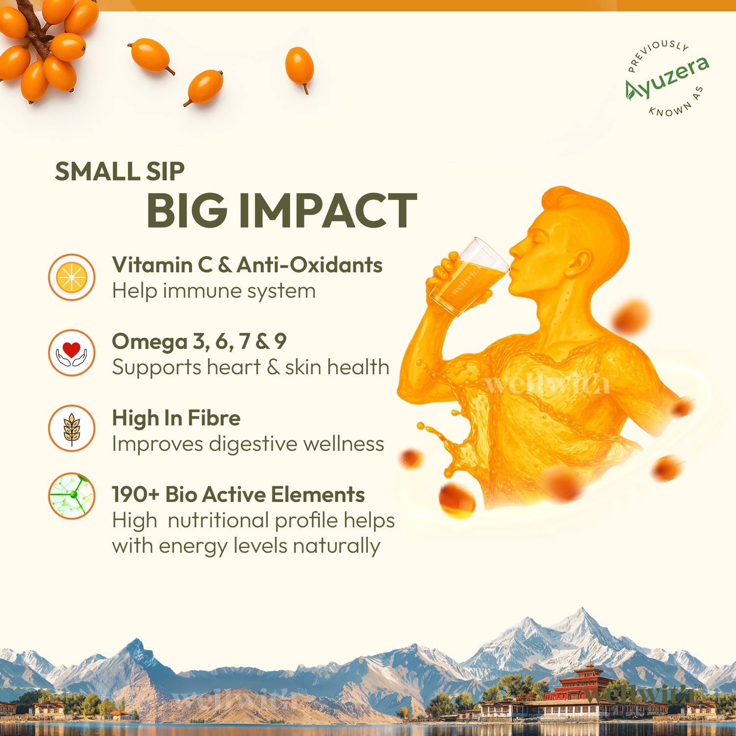 Wellwith Sea Buckthorn Juice 1L - Image 2