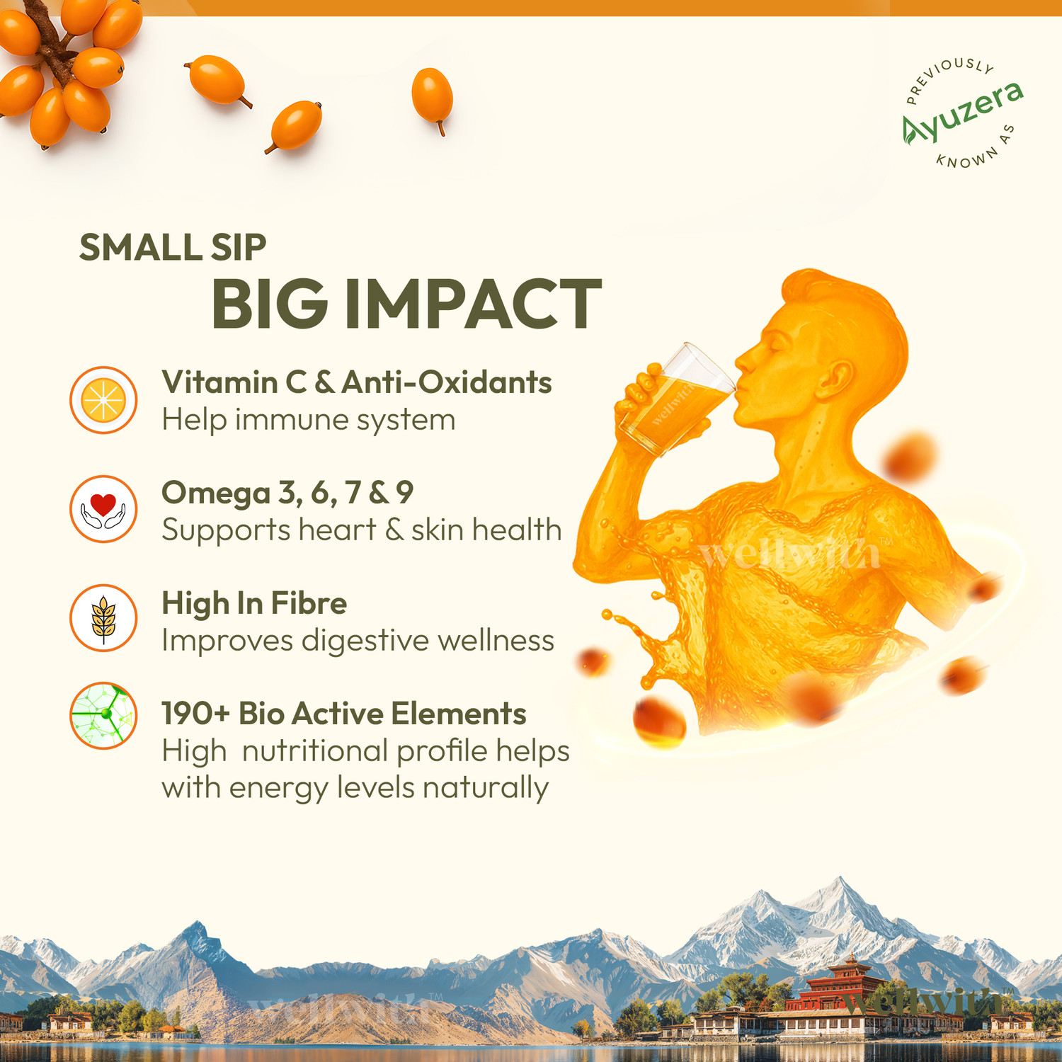 Image of Wellwith Sea Buckthorn Juice| Antioxidants, Vitamin C, Omega 3 6 7 9 | Seabuckthorn Juice
