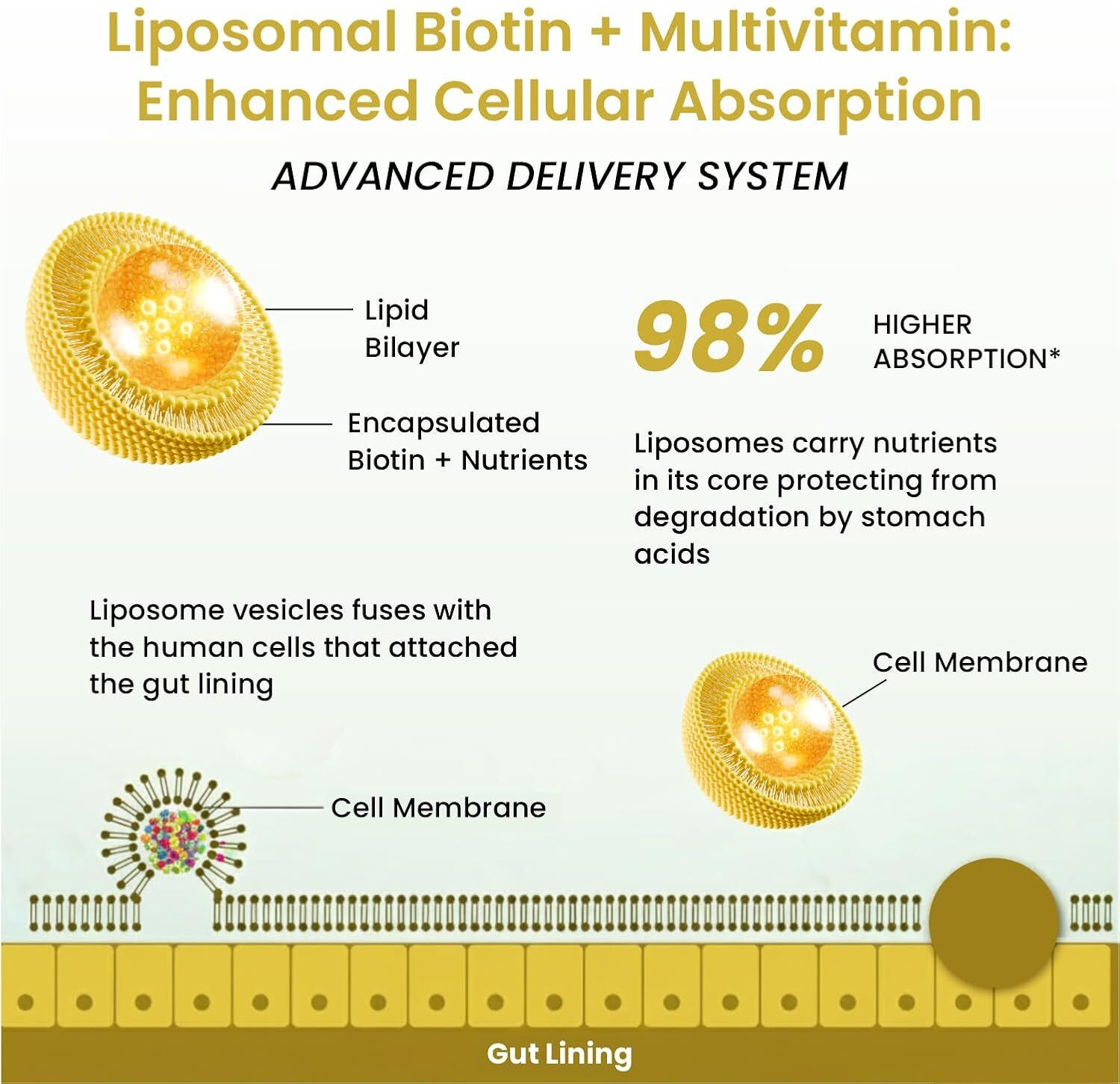 Image of Vlado's Himalayan Organics Liposomal Biotin 10000 MCG With Multivitamin+Multimineral