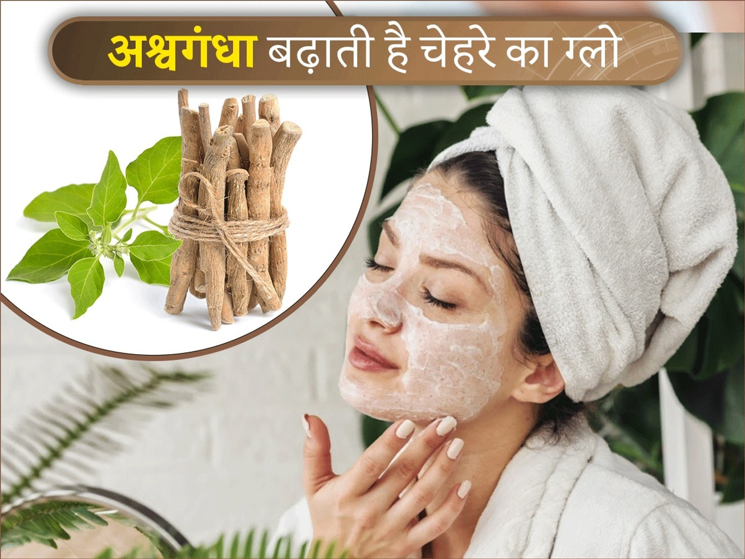Image of FarmQuartee Natural Ashwagandha Safed Musli Kaunch Beej Konch Seed Powder Churna