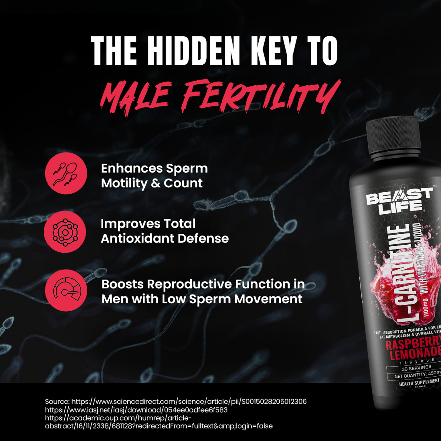 Image of BeastLife L-Carnitine Liquid 1100mg | Fat to Energy | Vitamin B5 | Raspberry Lemonade