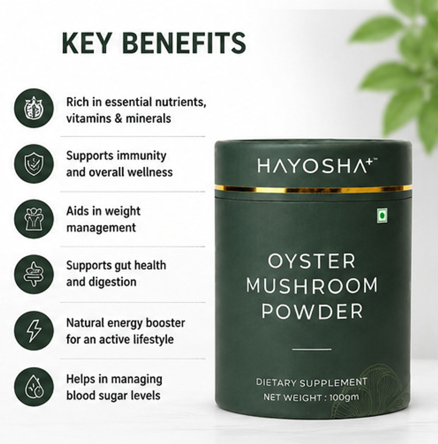 Image of HAYOSHA+ 100% Organic Oyster Mushroom Powder | Rich in Protein & Antioxidants