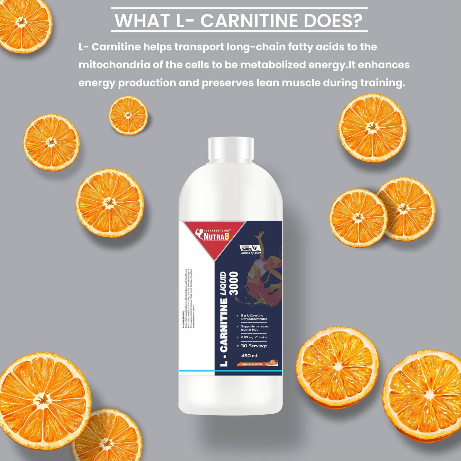 l carnitine source l carnitine source naturals Acetyl L Carnitine