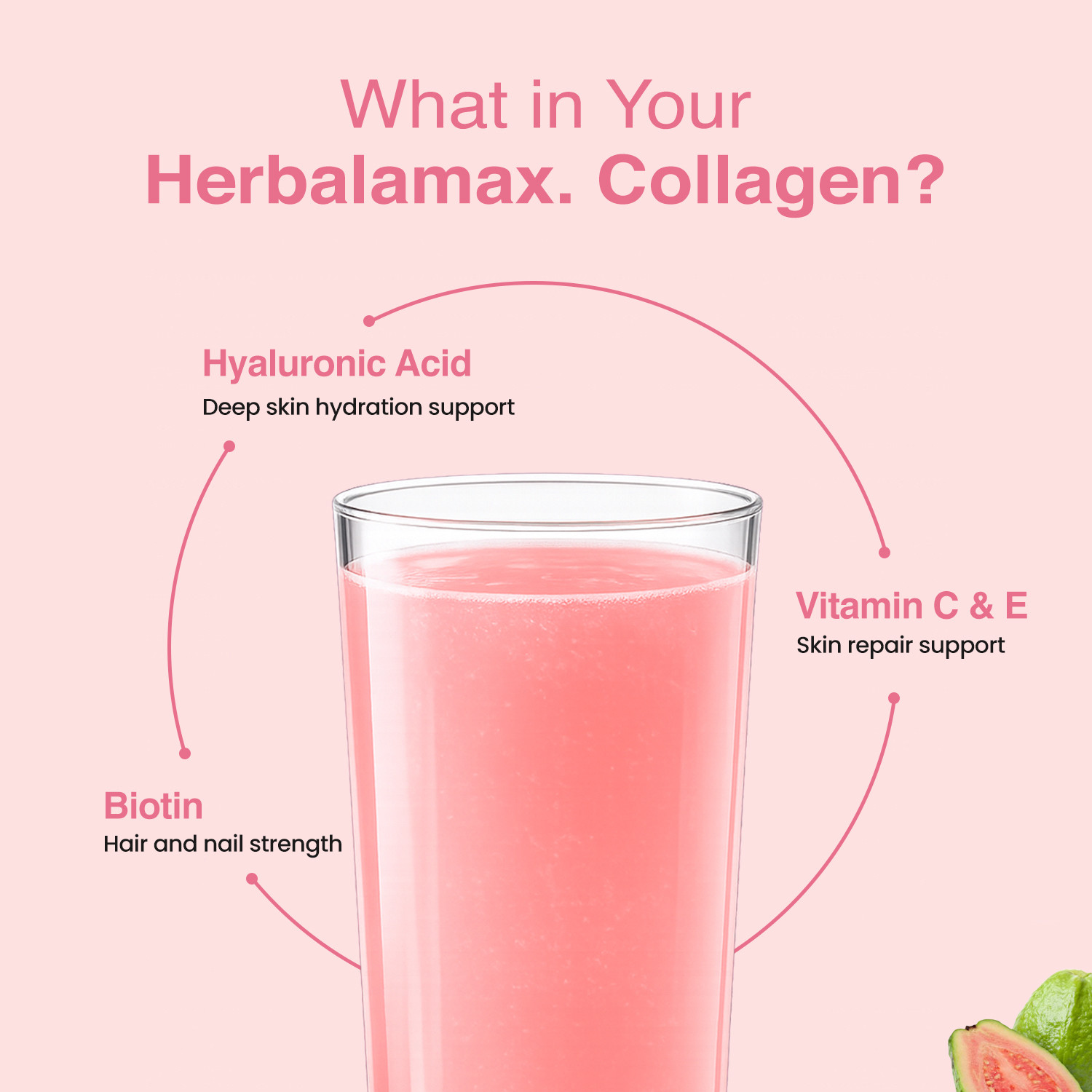 Image of Herbal max Marine Collagen Powder Type I & III Peptides for Skin, Hair, Nails & Joints