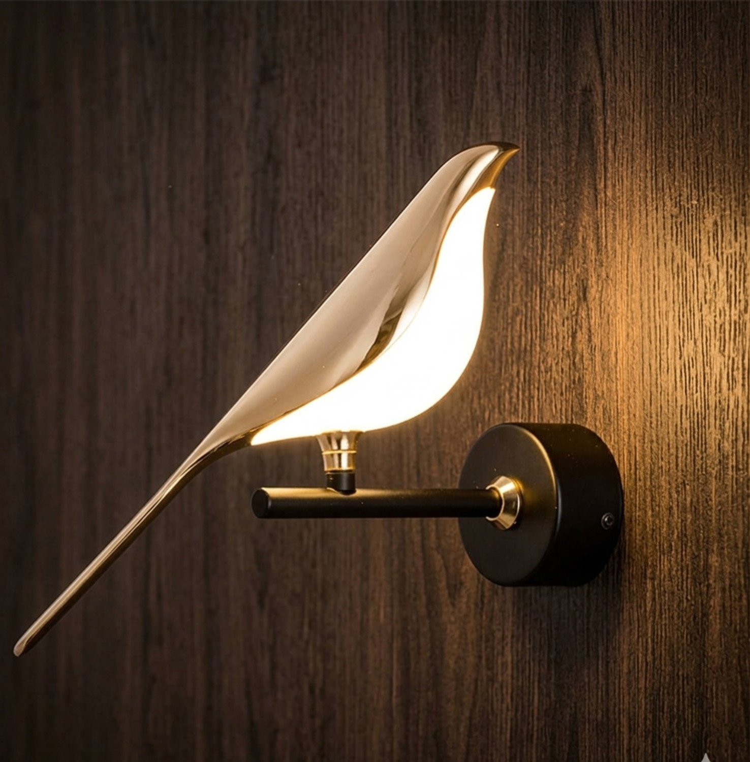 Image of BlessBells Store Picture Light Wall Lamp With Bulb