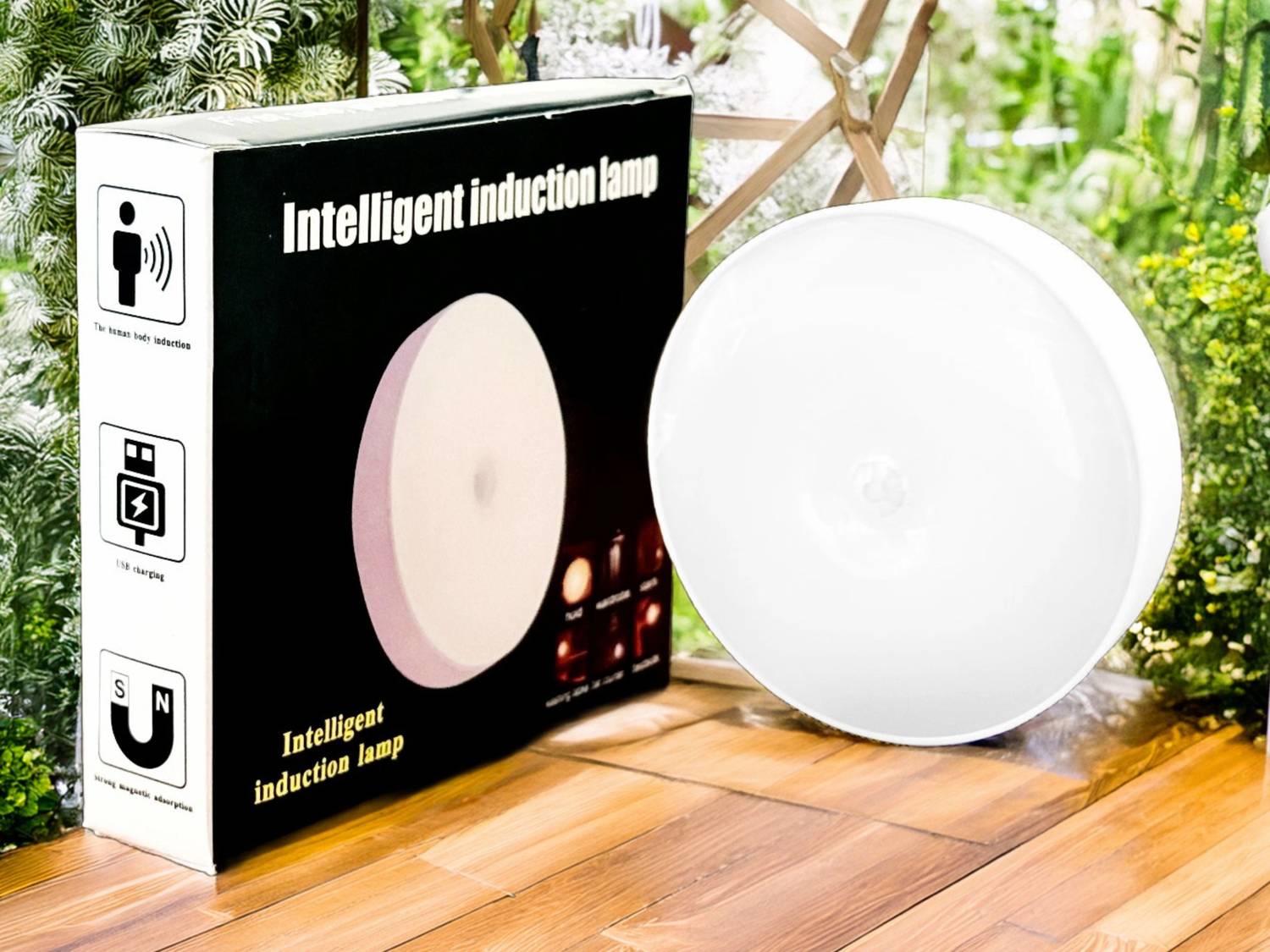 Bright IQ Novelty Floor Lamp