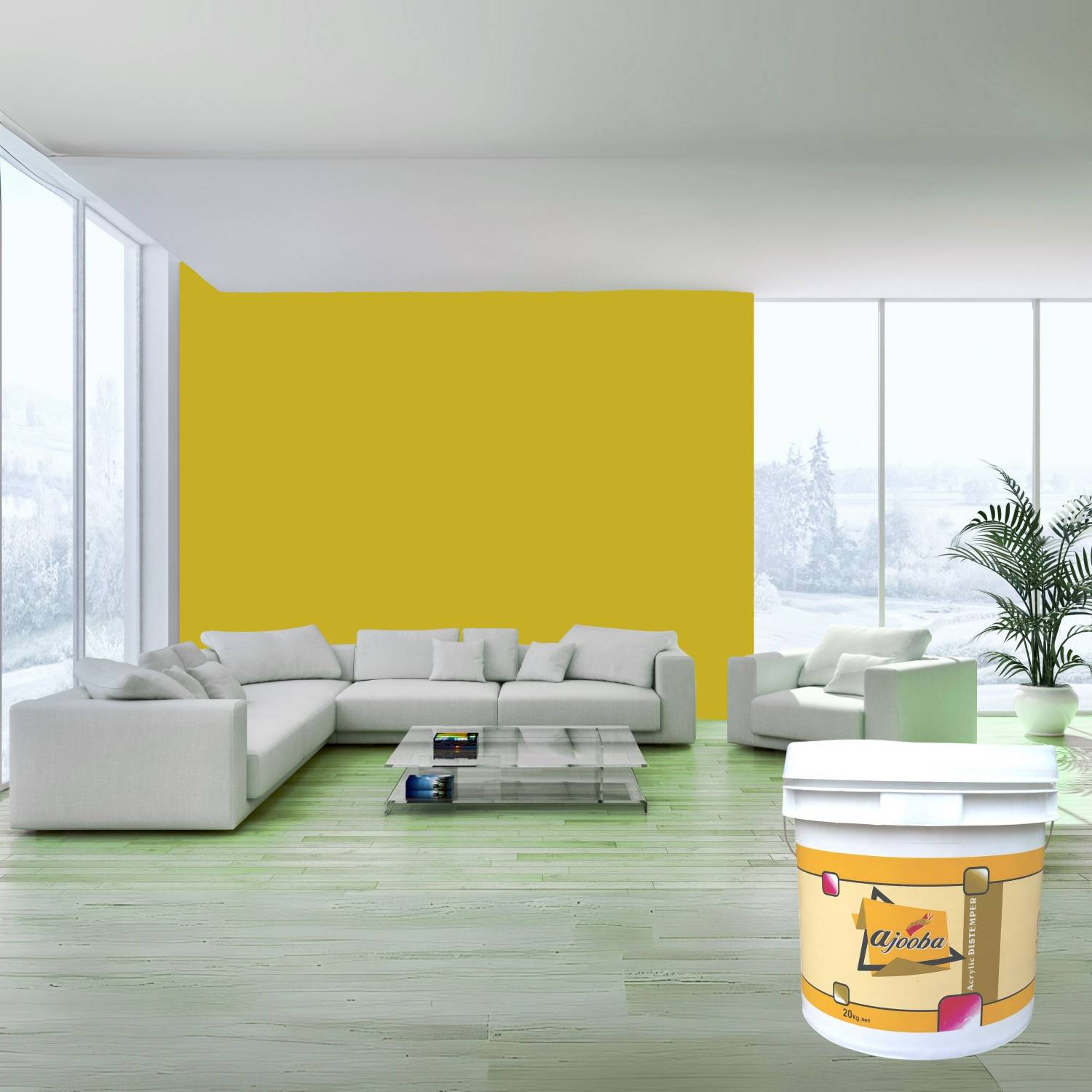 Ajooba Premium Acrylic Distemper Smooth Matte Finish Applied on Interior Cement Plaster ,Ceilings, Asbestos Sheets, Concrete as a Top Coat Finish DAFFODIL Distemper Wall Paint