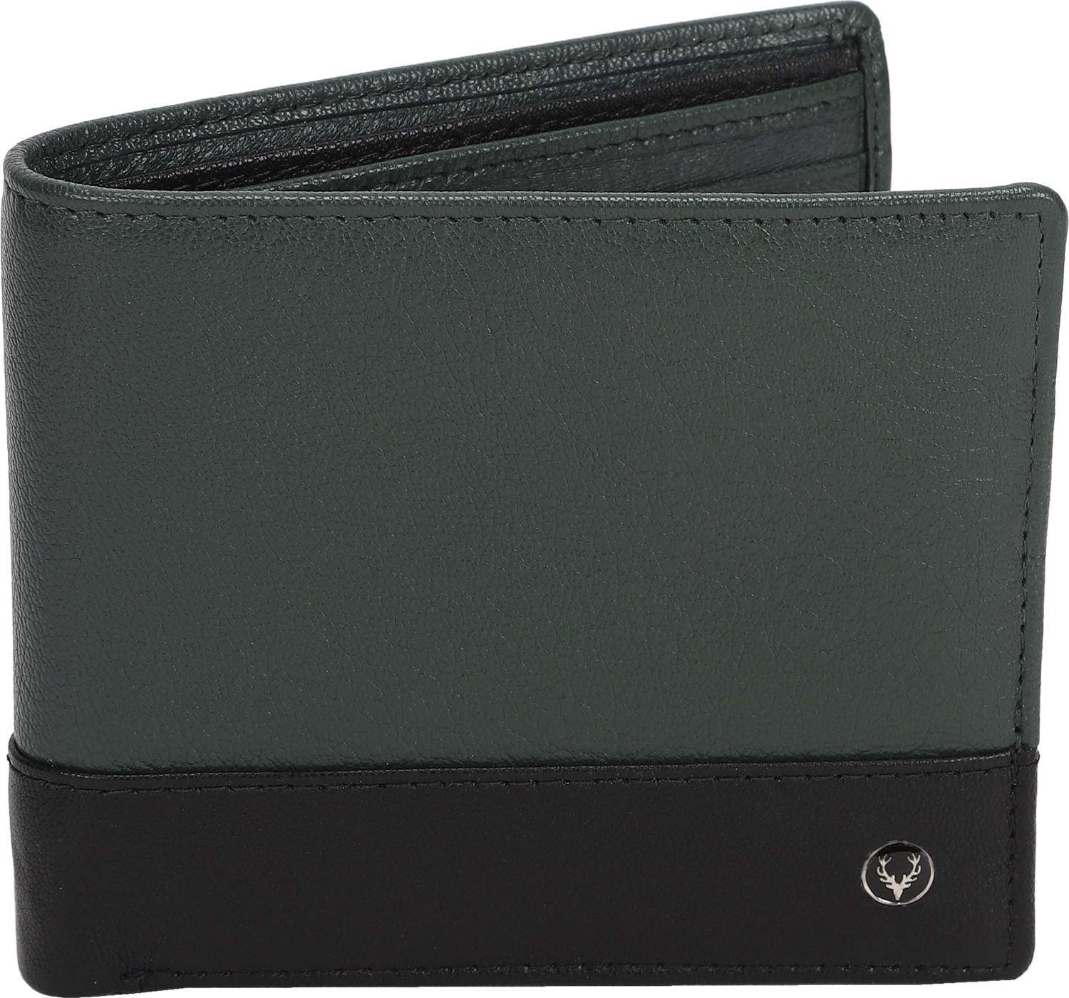 Allen Solly Men Green Genuine Leather Wallet