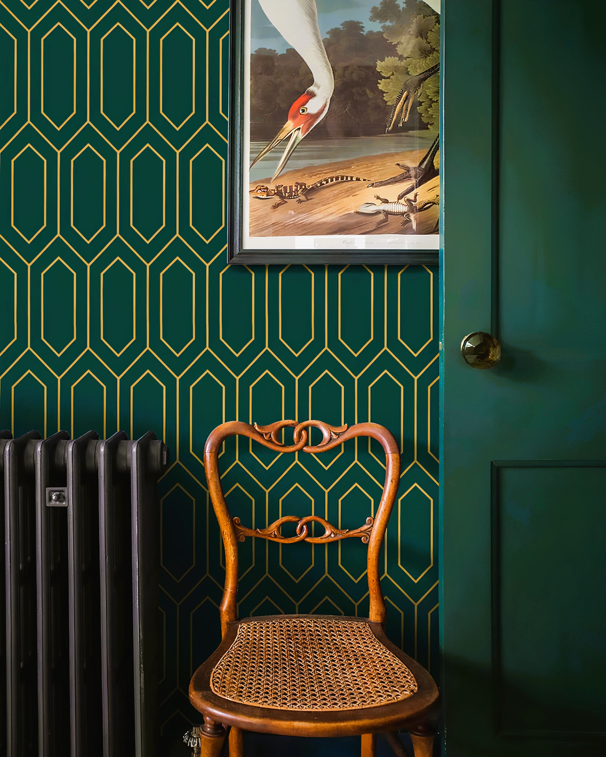 Image of Floppy 300 cm x 45 cm Waterproof Classics Paper Wallpaper
