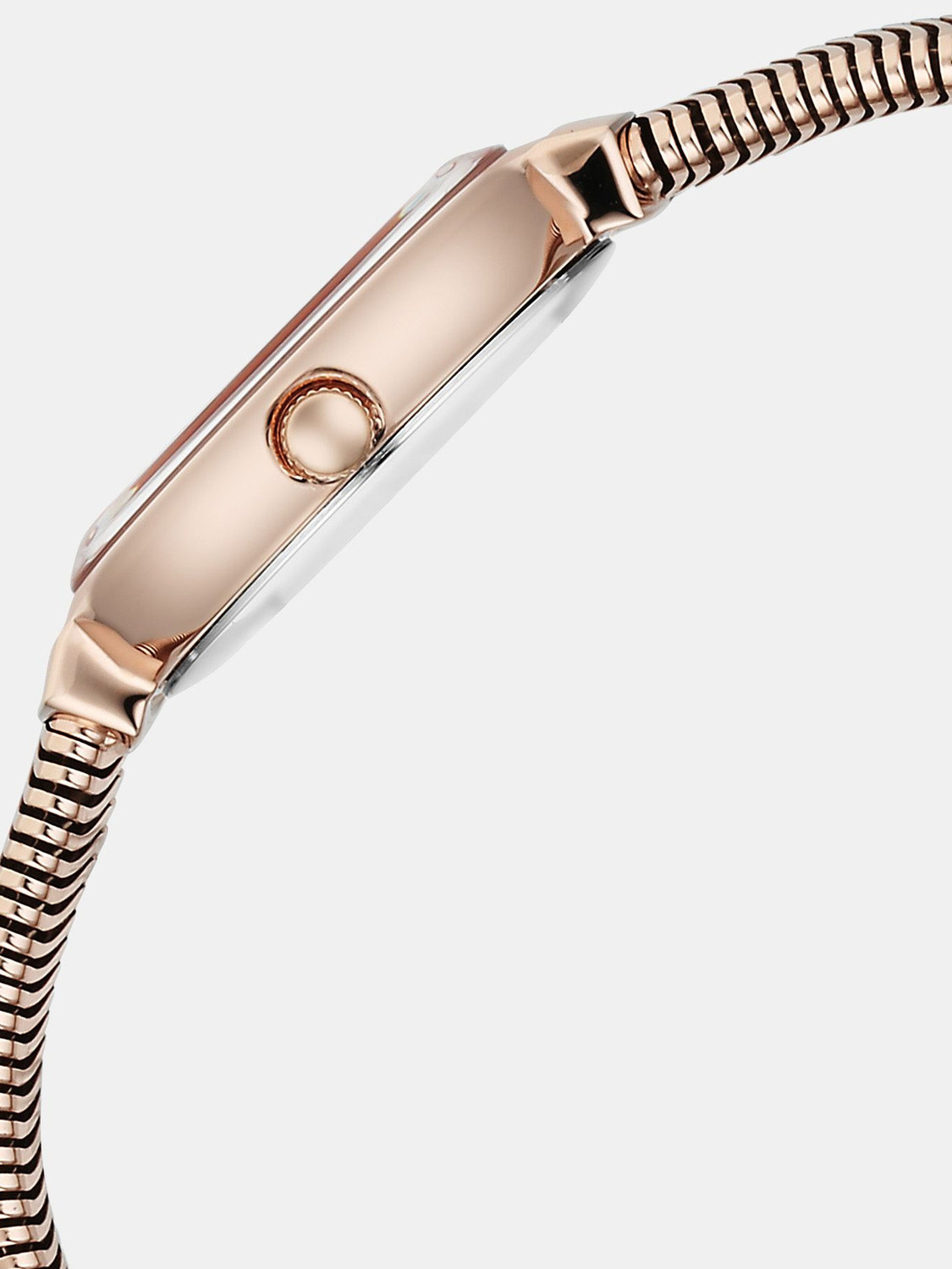 Image of Titan Raga Viva Analog Watch - For Women