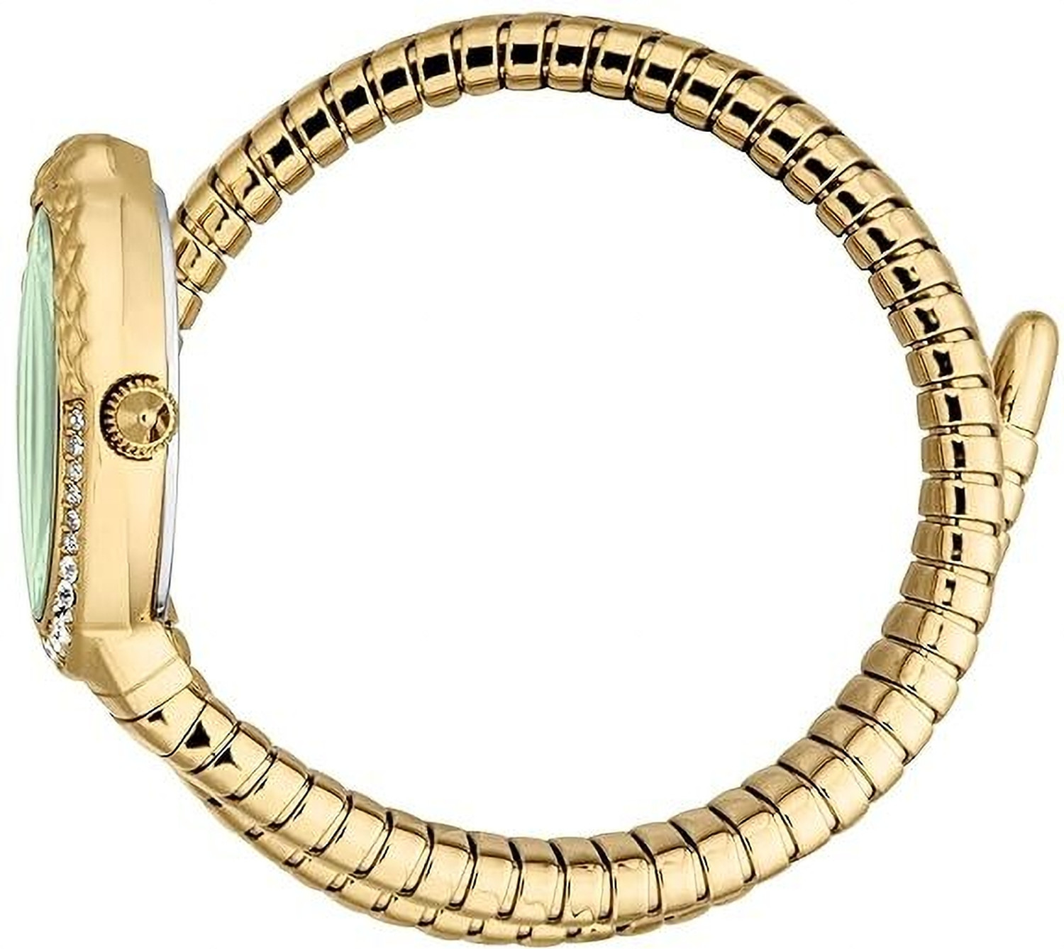 Image of Just Cavalli JC1L390M0035 JC1L390M0035 Analog Watch - For Women