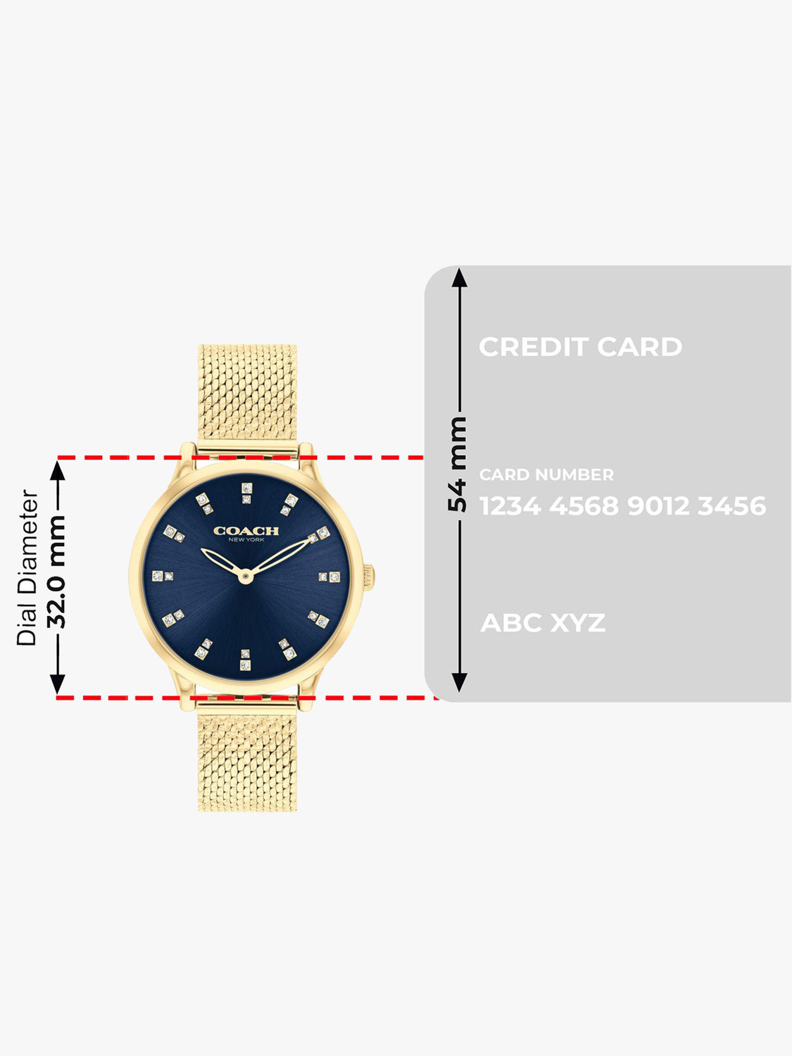 Image of COACH Chelsea Analog Watch - For Women 14504218