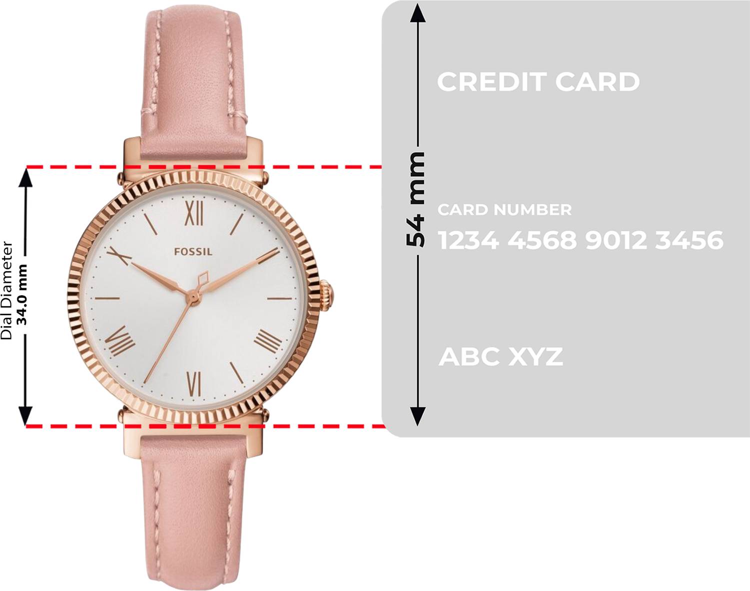 FOSSIL Daisy Daisy Analog Watch - For Women - Buy FOSSIL 