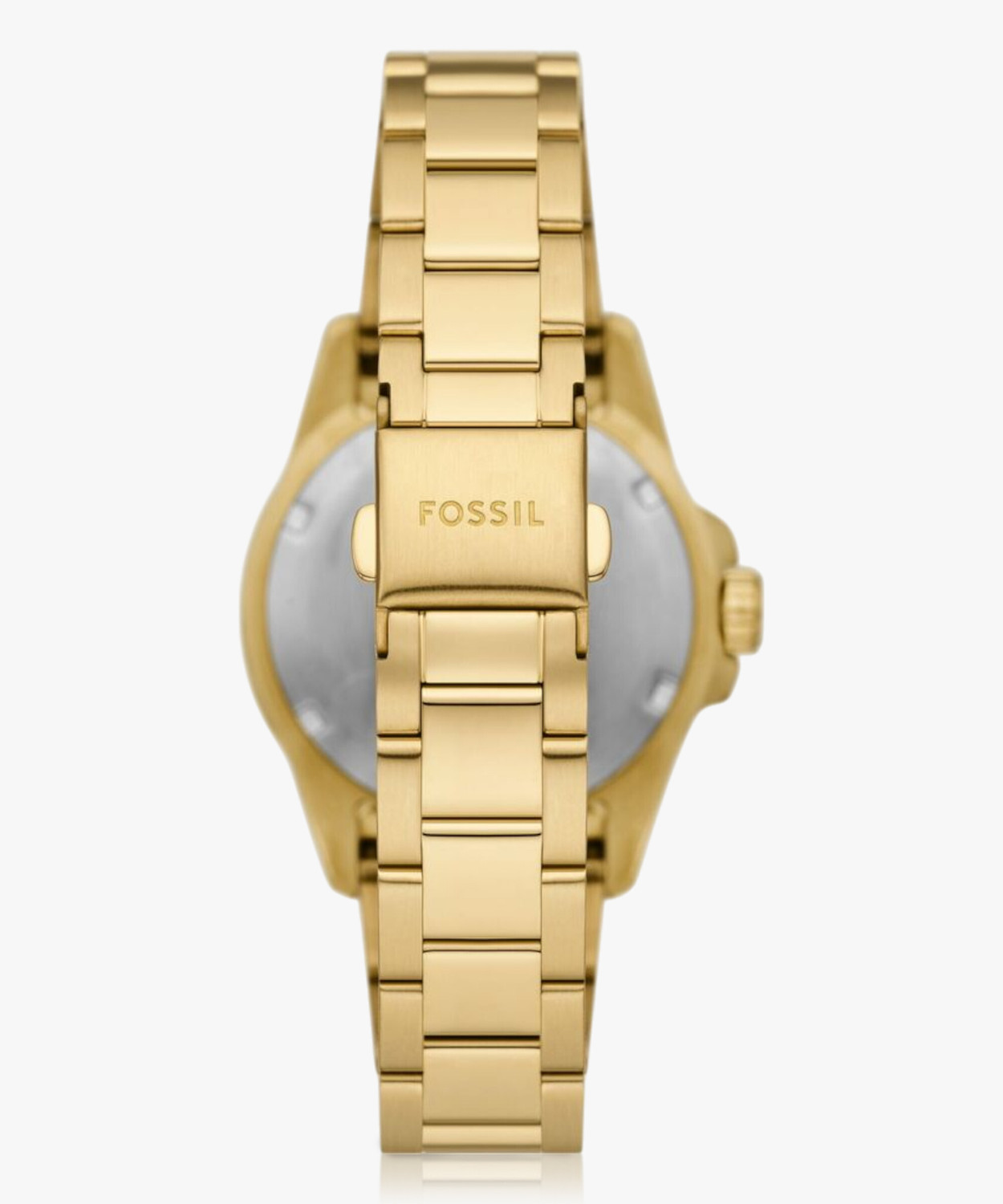 Image of FOSSIL Analog Watch - For Women