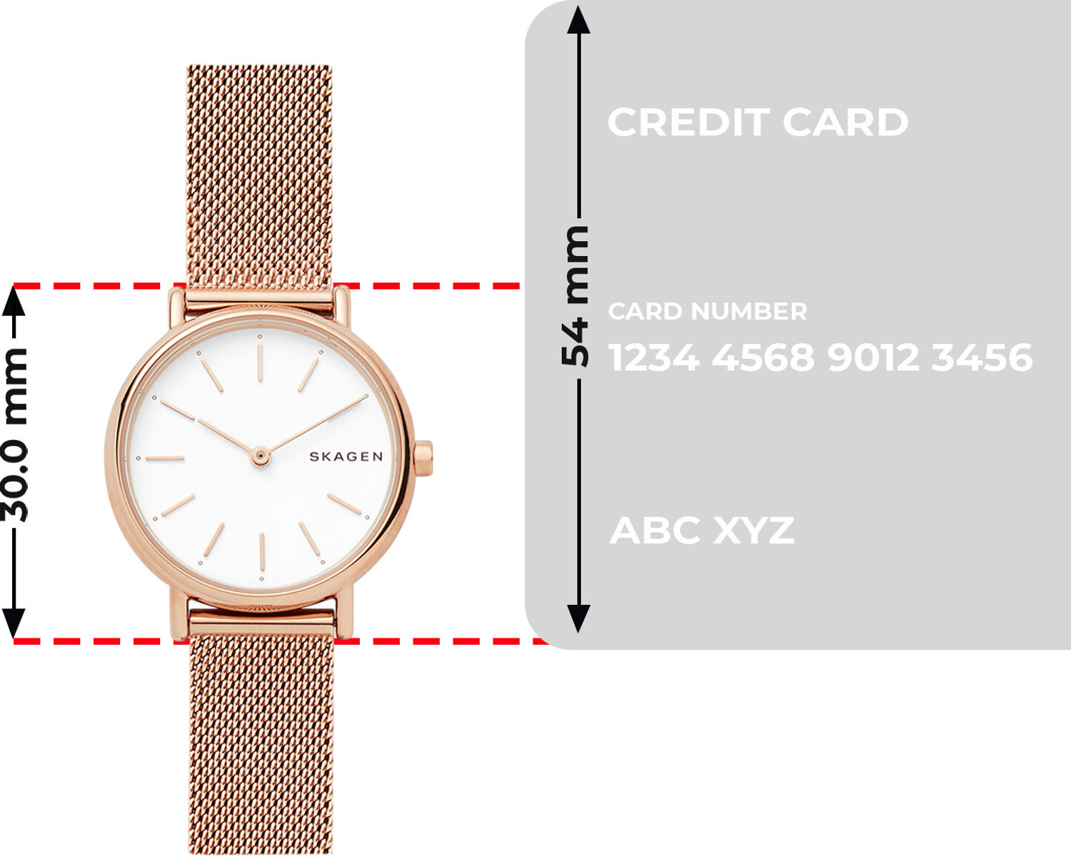 Image of SKAGEN SIGNATUR Analog Watch - For Women