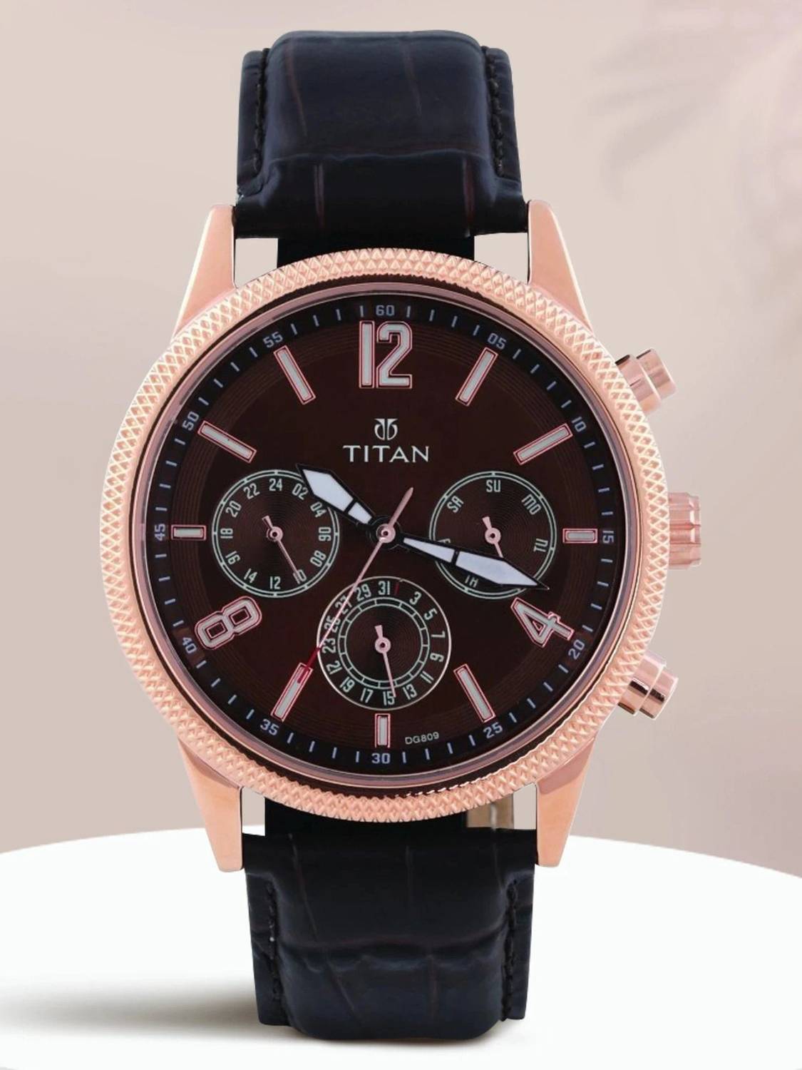 Titan NQ1734WL01 Titan Workwear Multifunction Brown Dial Brown