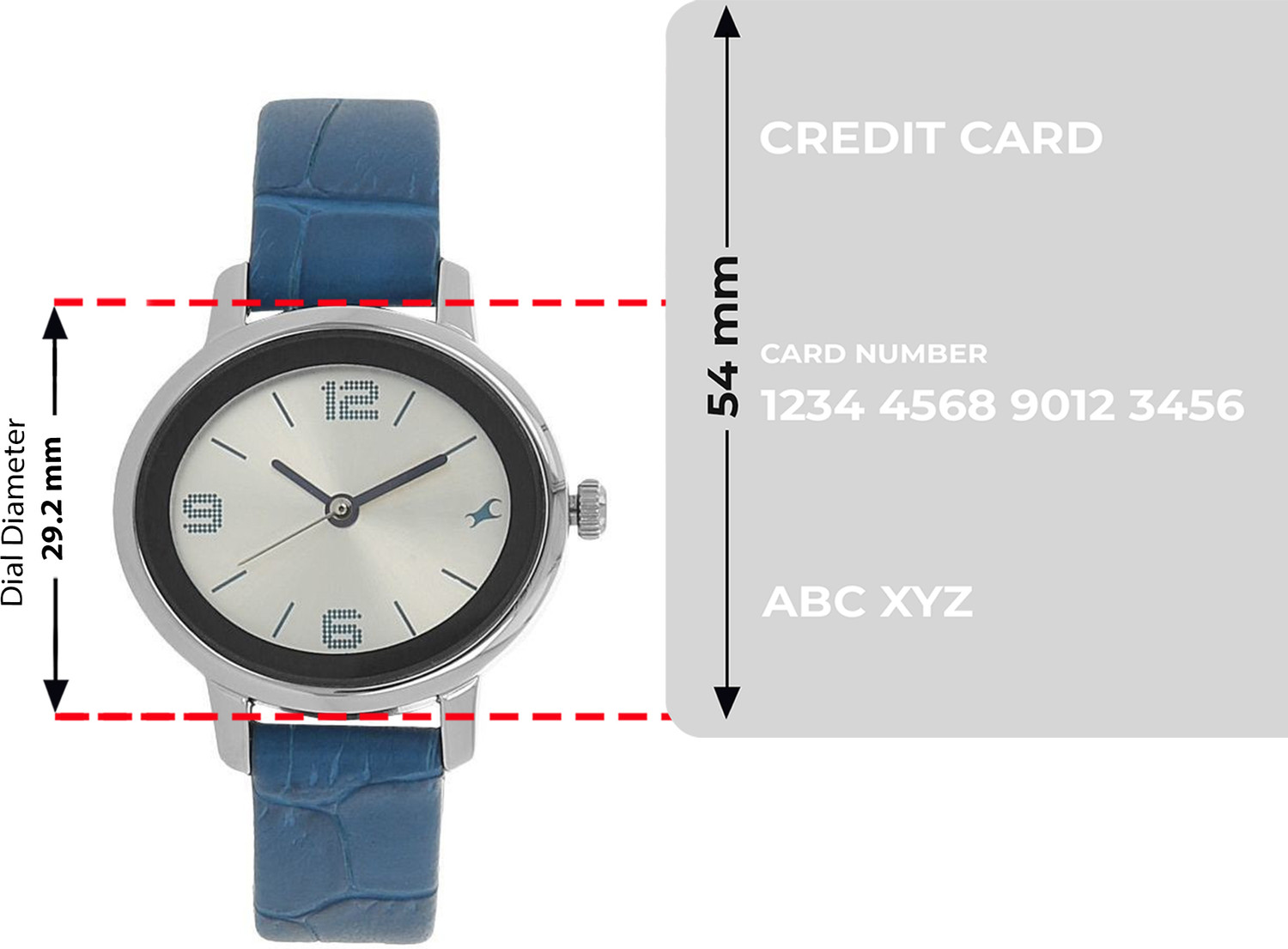 Image of Fastrack NP6107SL01 Animal Instinct Analog Watch - For Women