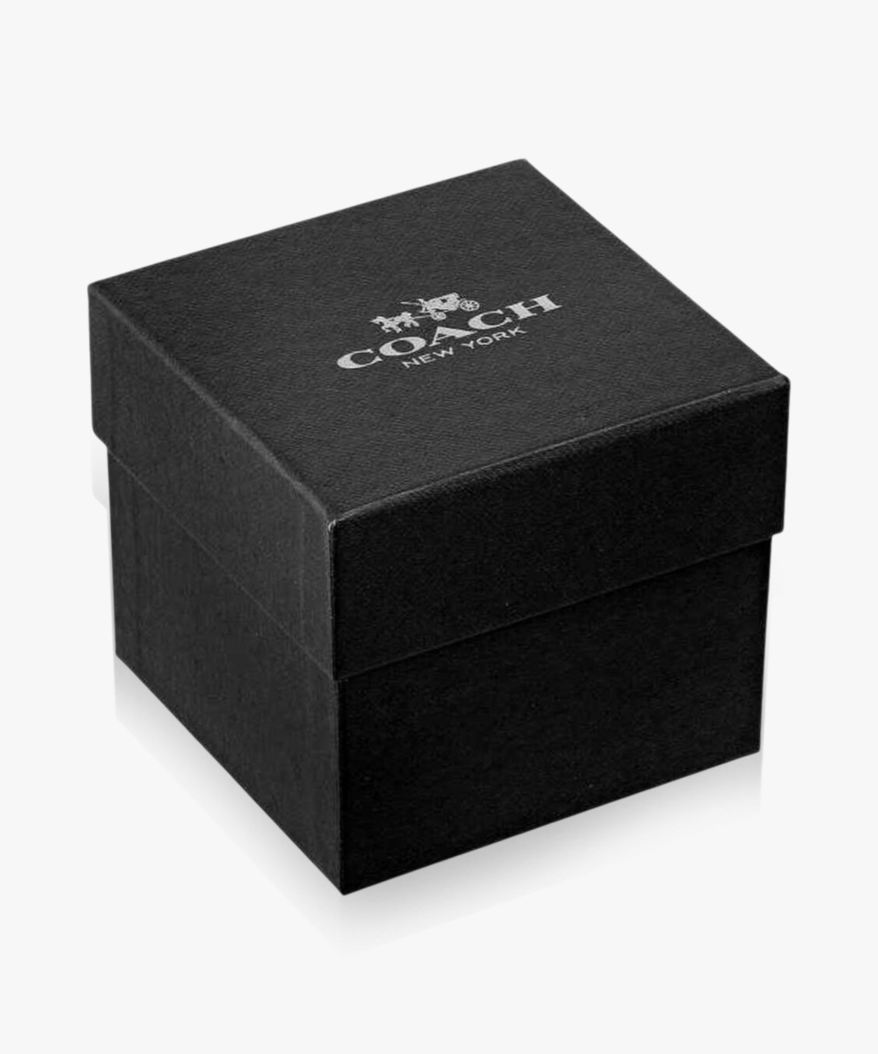 Image of COACH CLASSIC Analog Watch - For Women