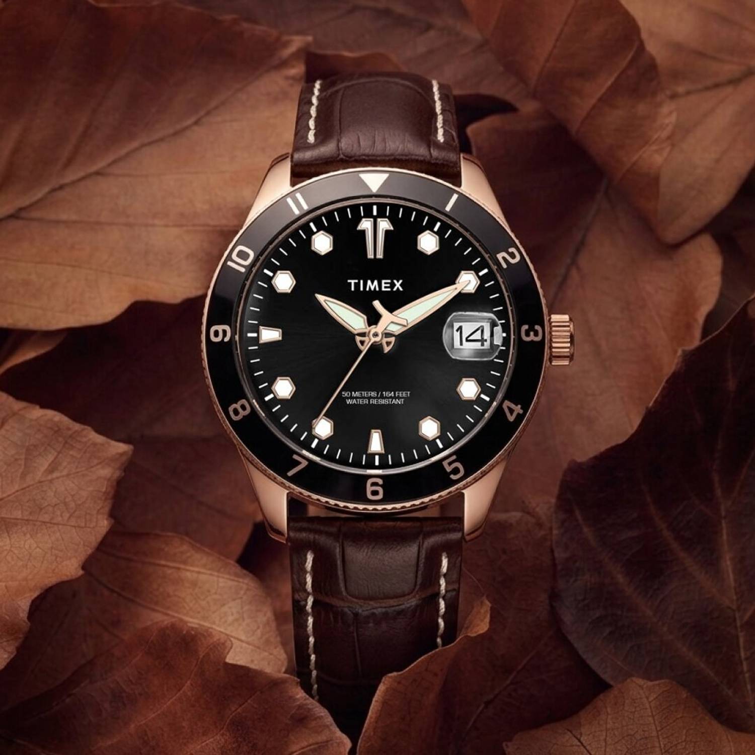 Timex Black Dial Analog Watch for Men