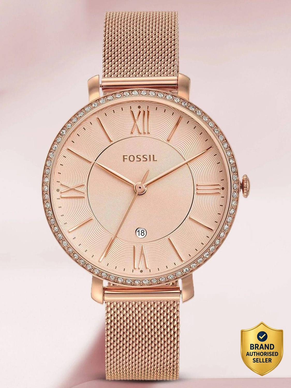 FOSSIL Jacqueline Analog Watch - Women