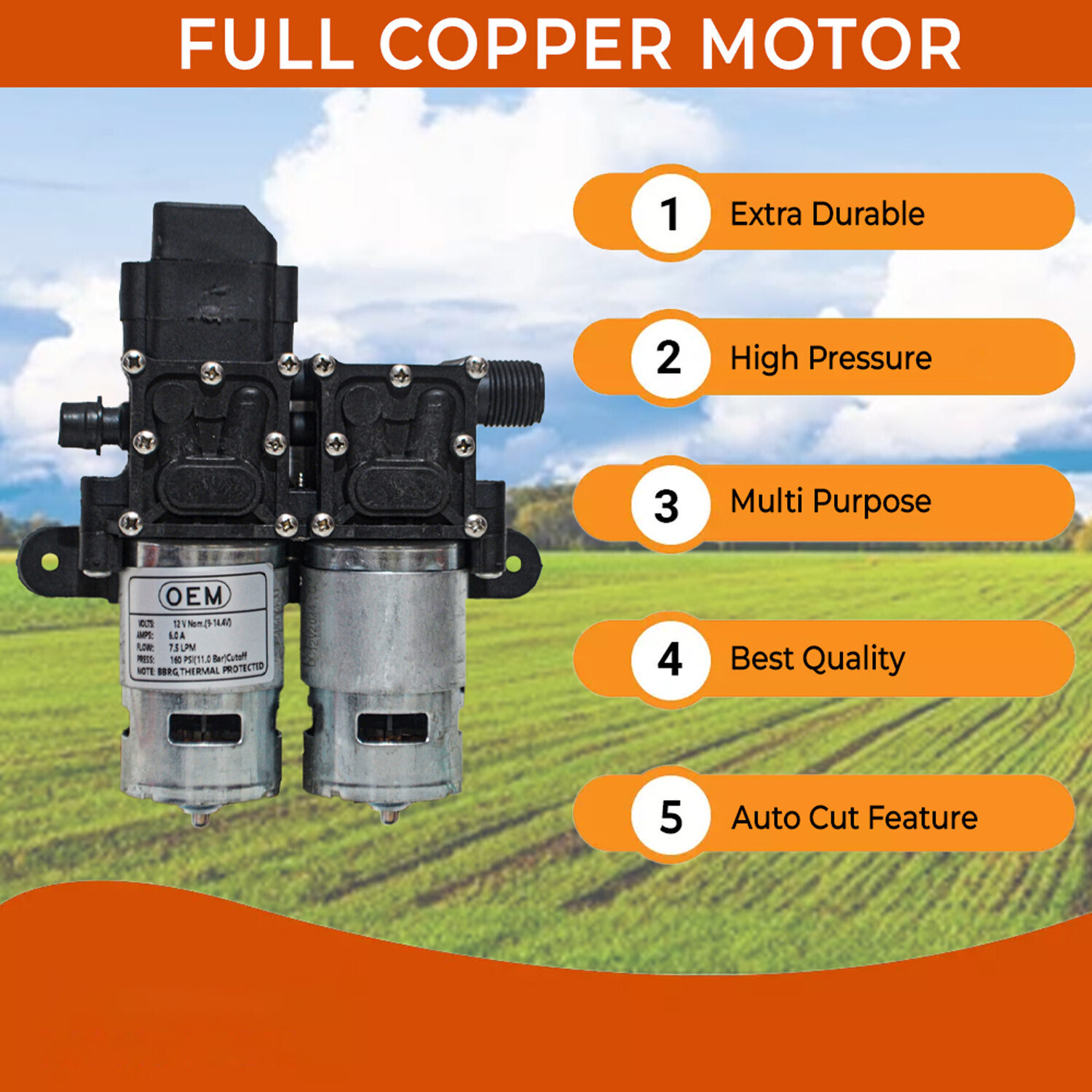 Image of OEM 12V 8 /LPM Spray Double Motor Copper High Pressure Auto Cut Diaphragm Water Pump