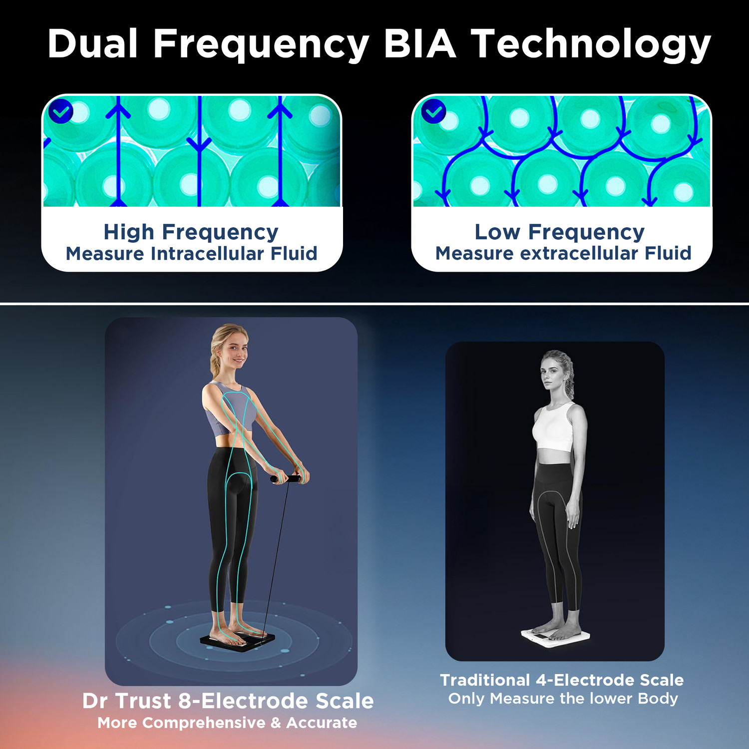 Image of Dr Trust USA Digital Smart Scale Weight Machine BMI Body Fat Analyzer 29 Body Parameters Weighing Scale