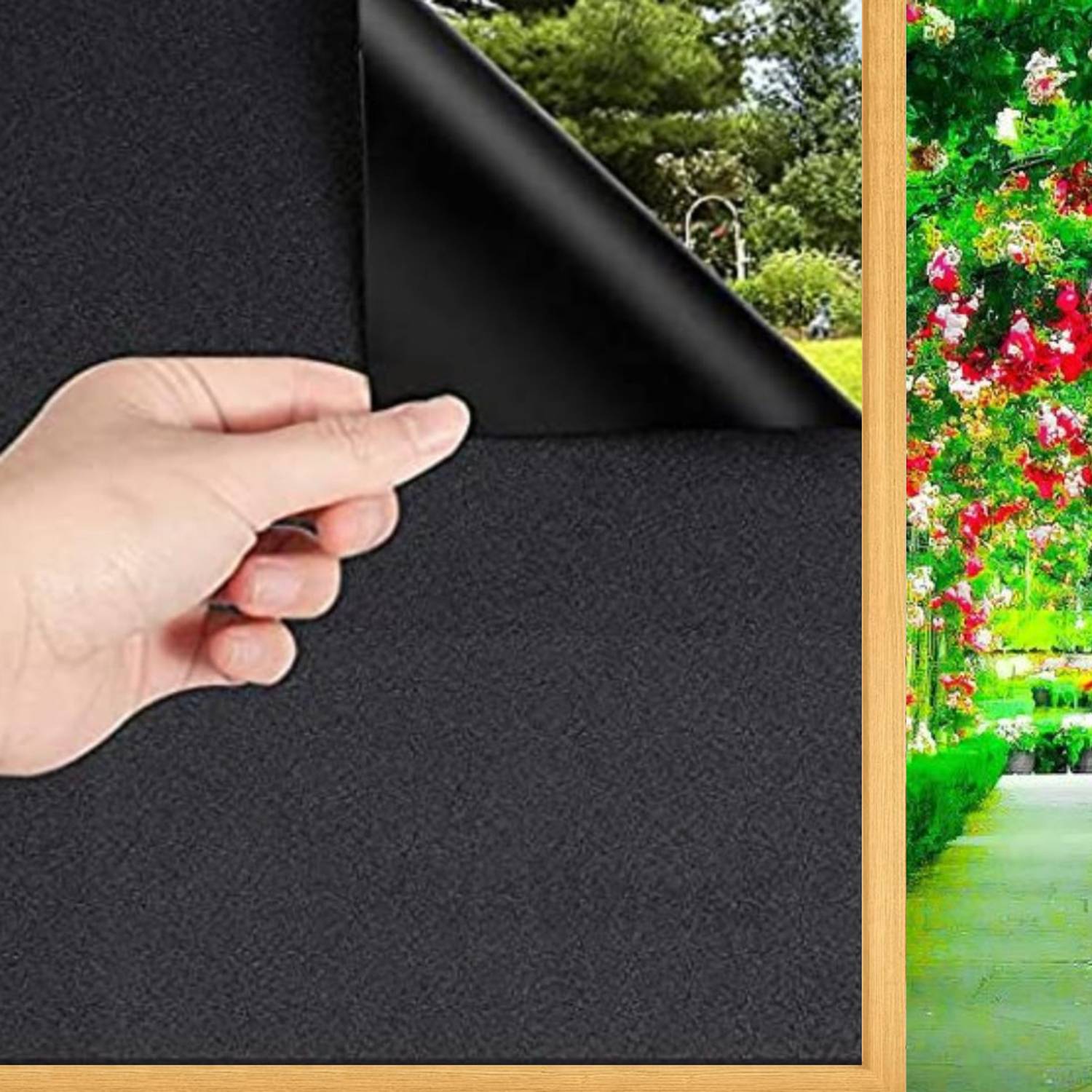 BOLOKA Automotive, Commercial, Residential Window Film