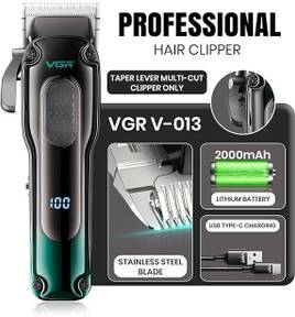 Vgr V013