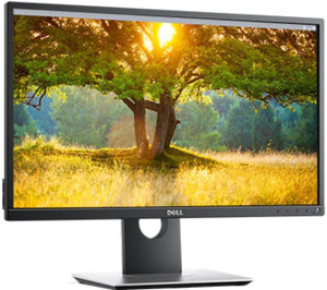 DELL 60.45 cm (24 inch) Full HD LED Backlit IPS Panel
